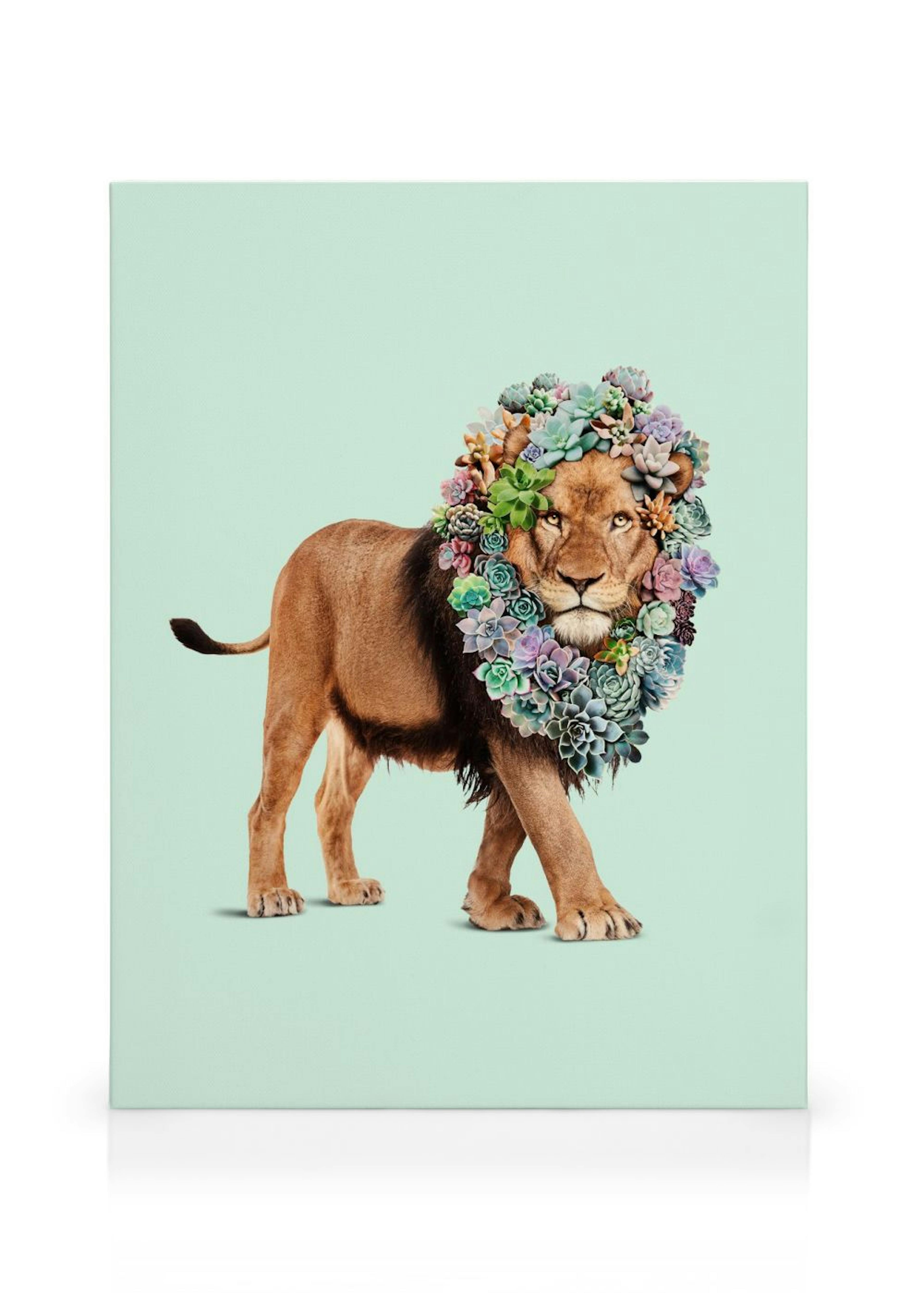 Product image: 1