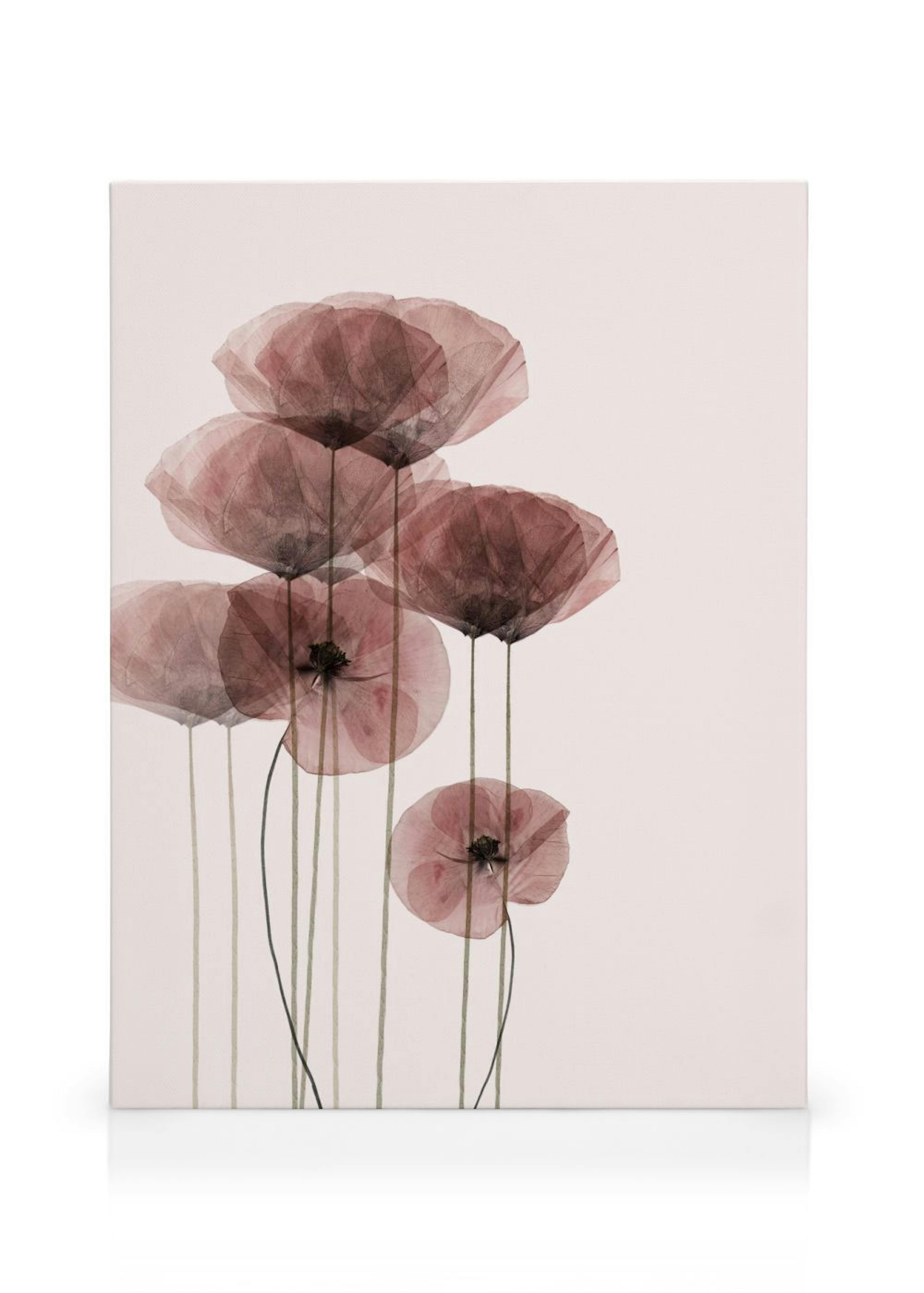 Product image: 1