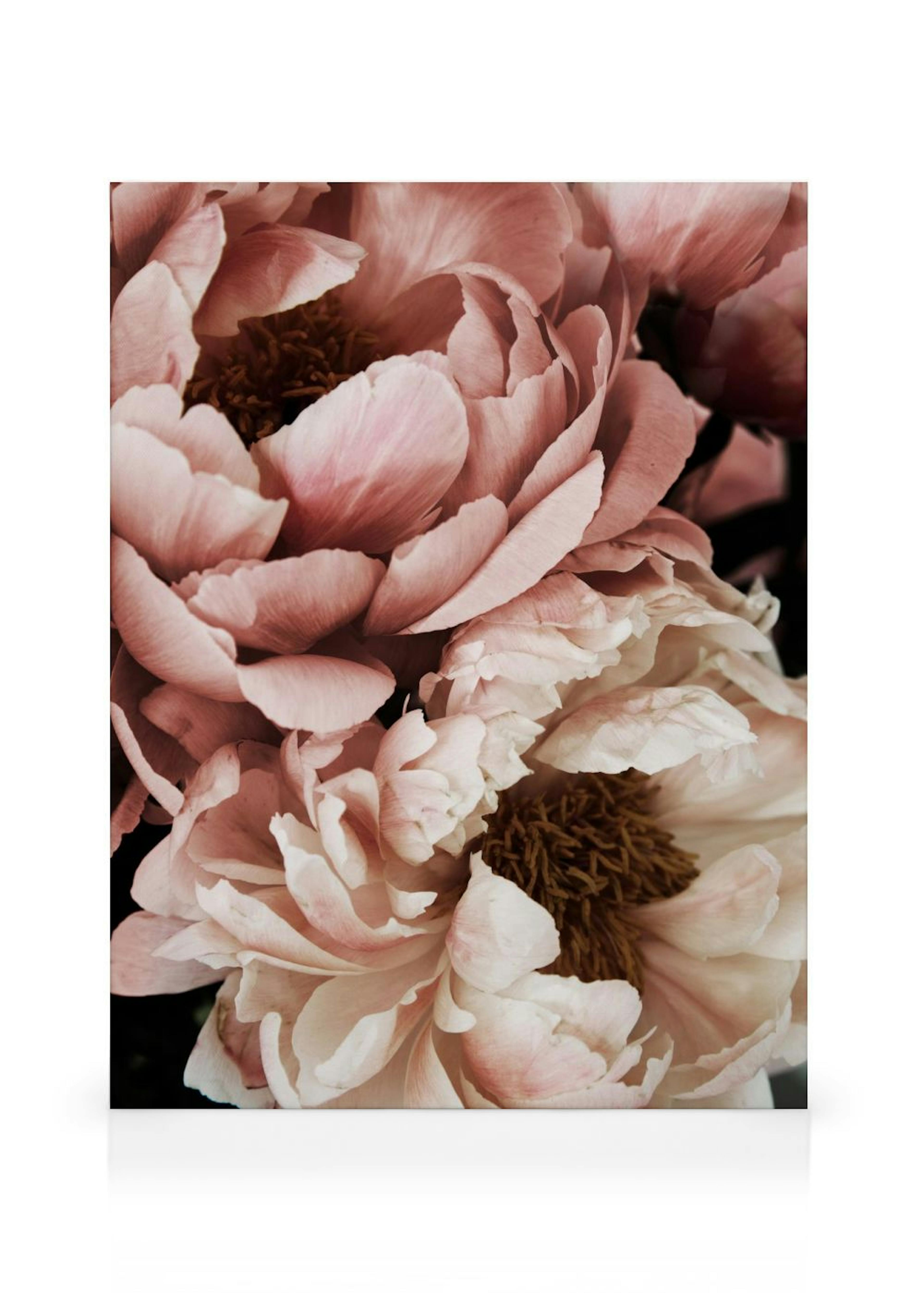 Product image: 1