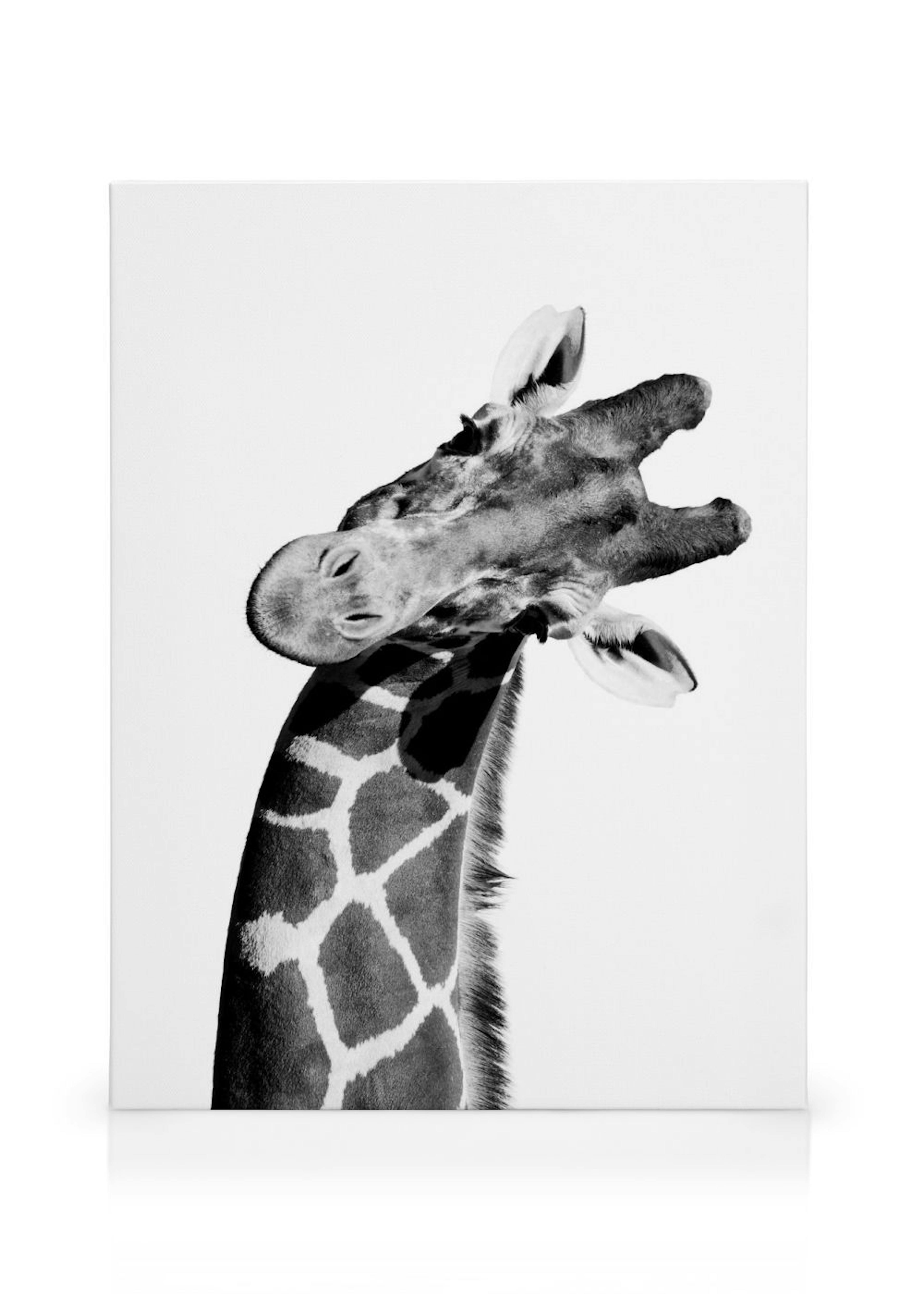 Product image: 1