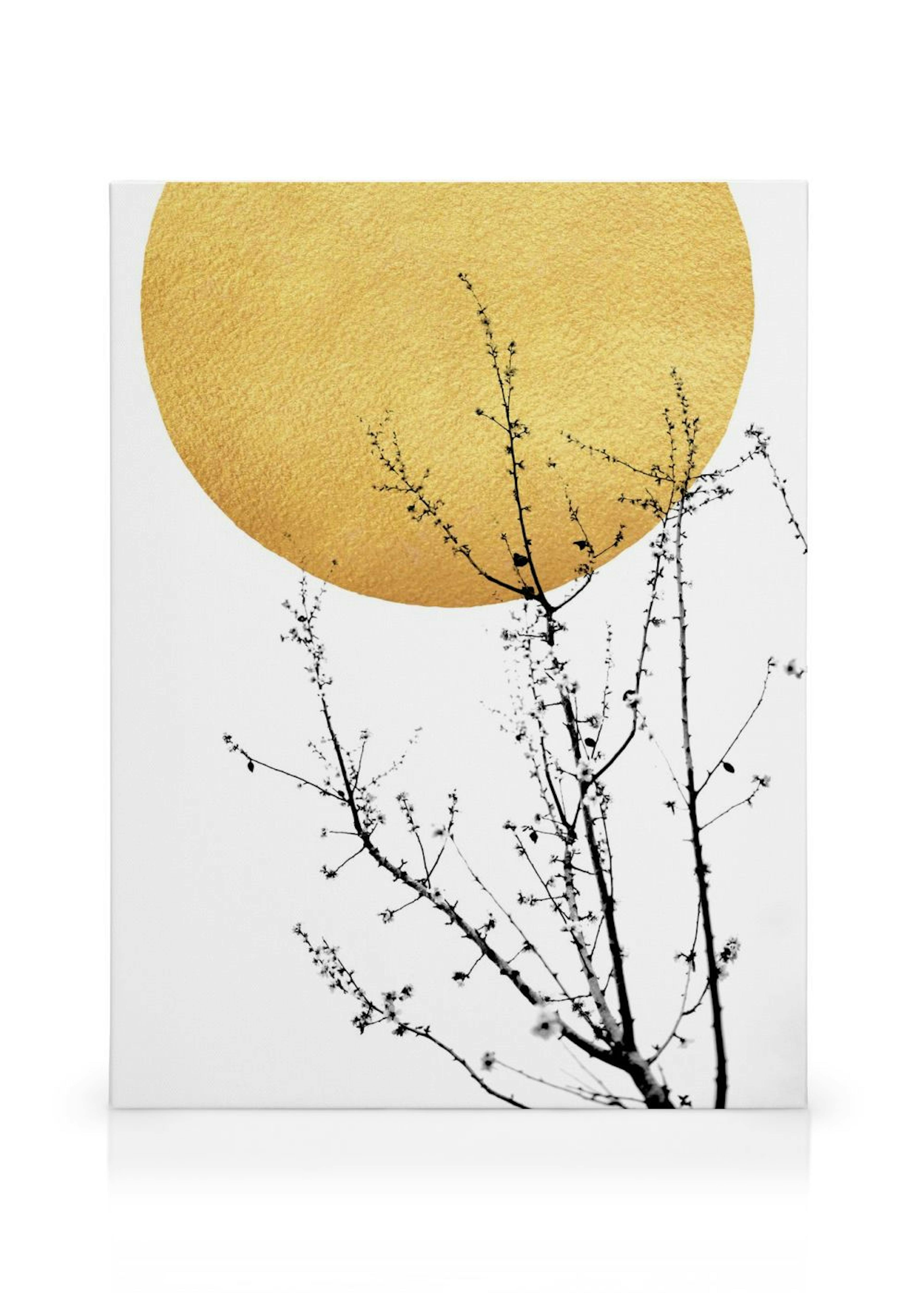 Product image: 1