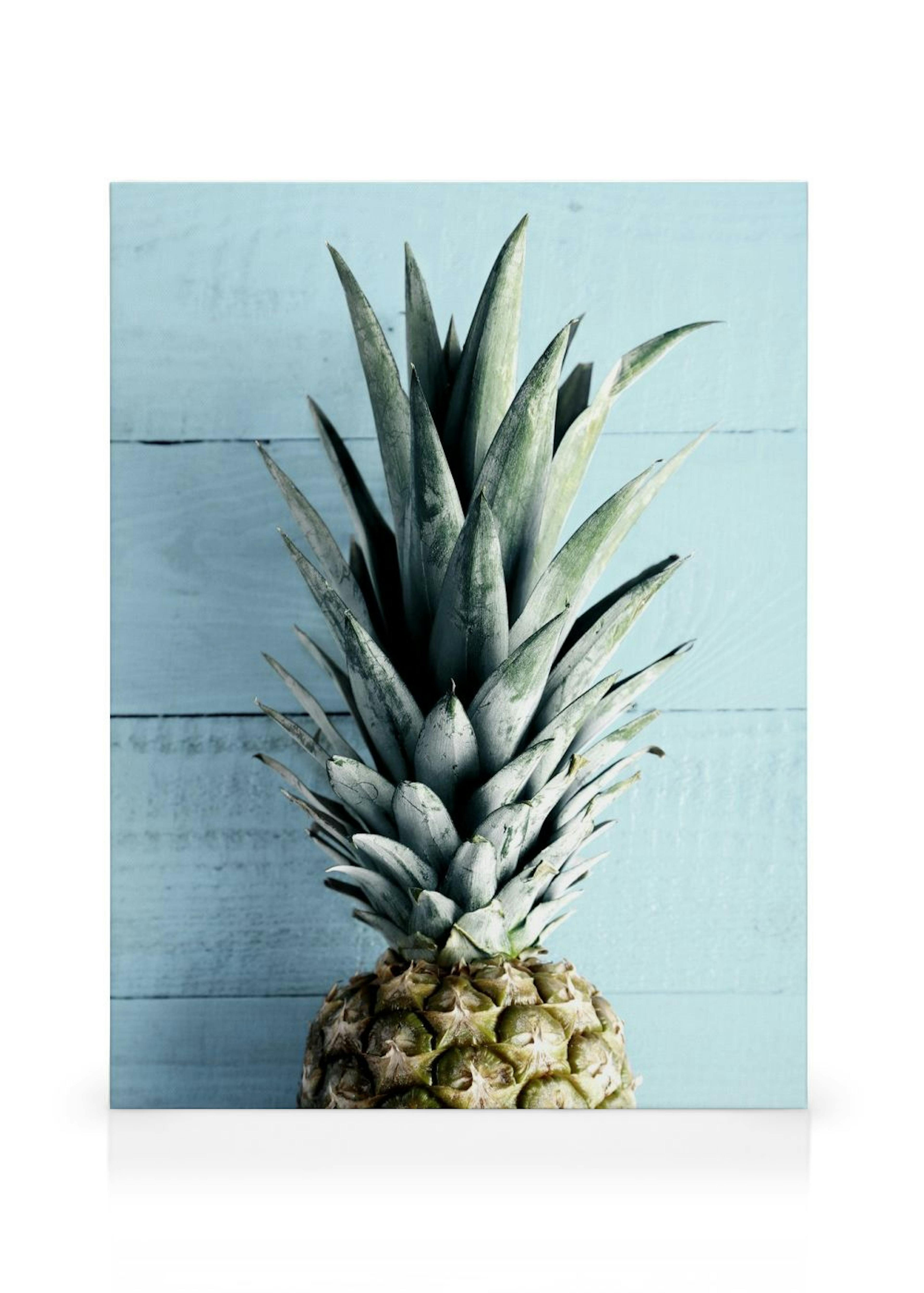Pineapple Top Canvas print