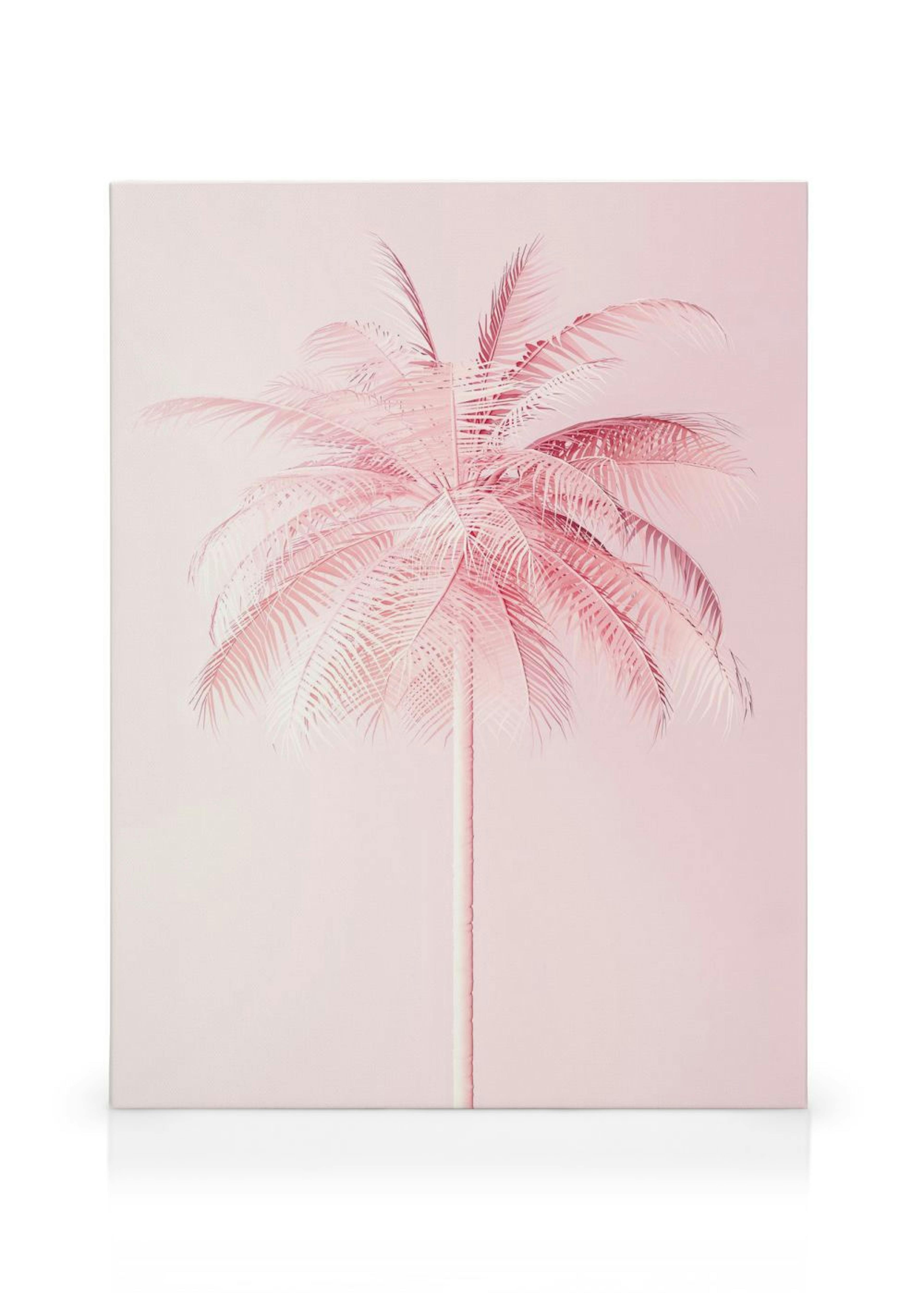 Pastel Pink Palm Canvas print