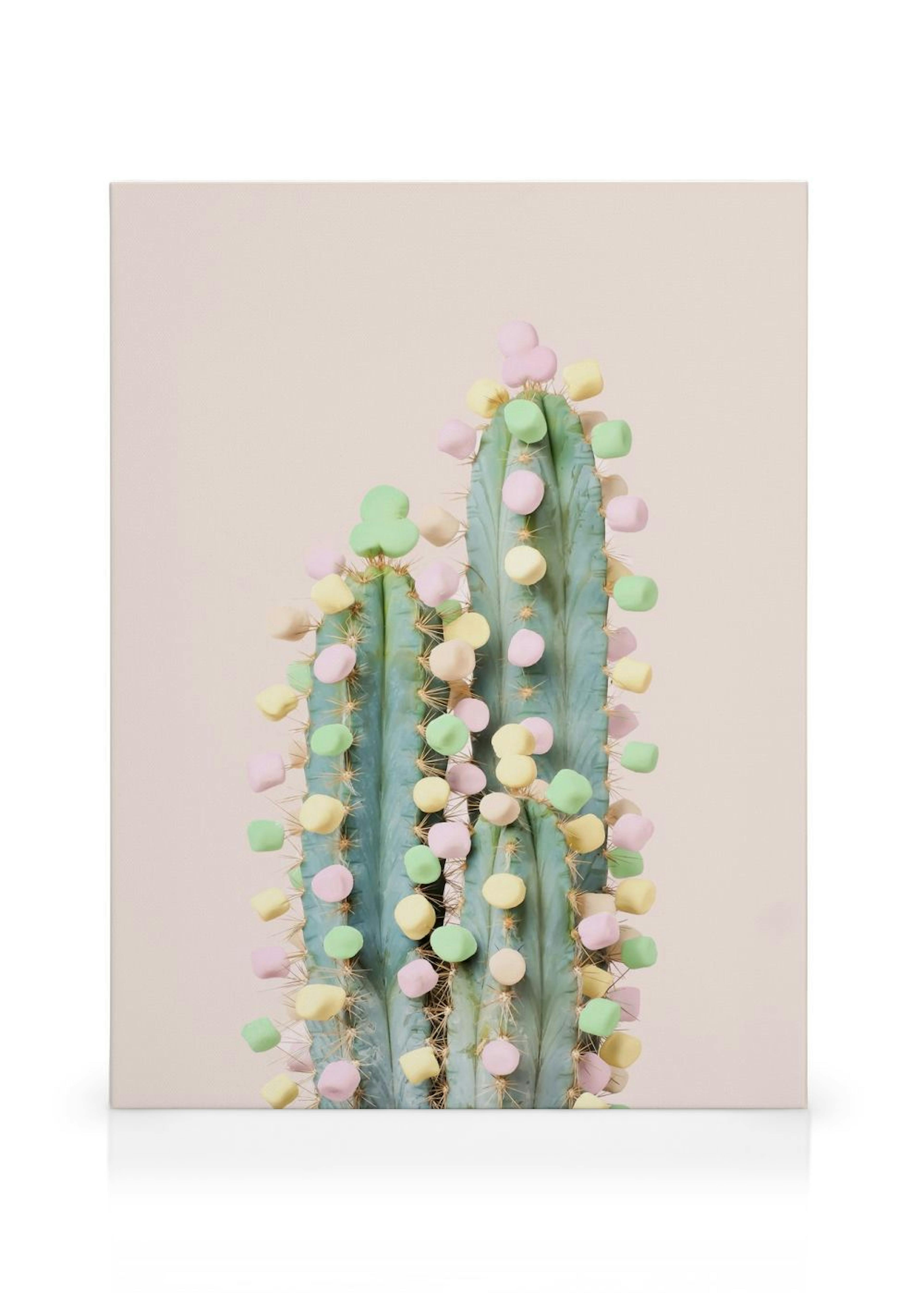 Product image: 1