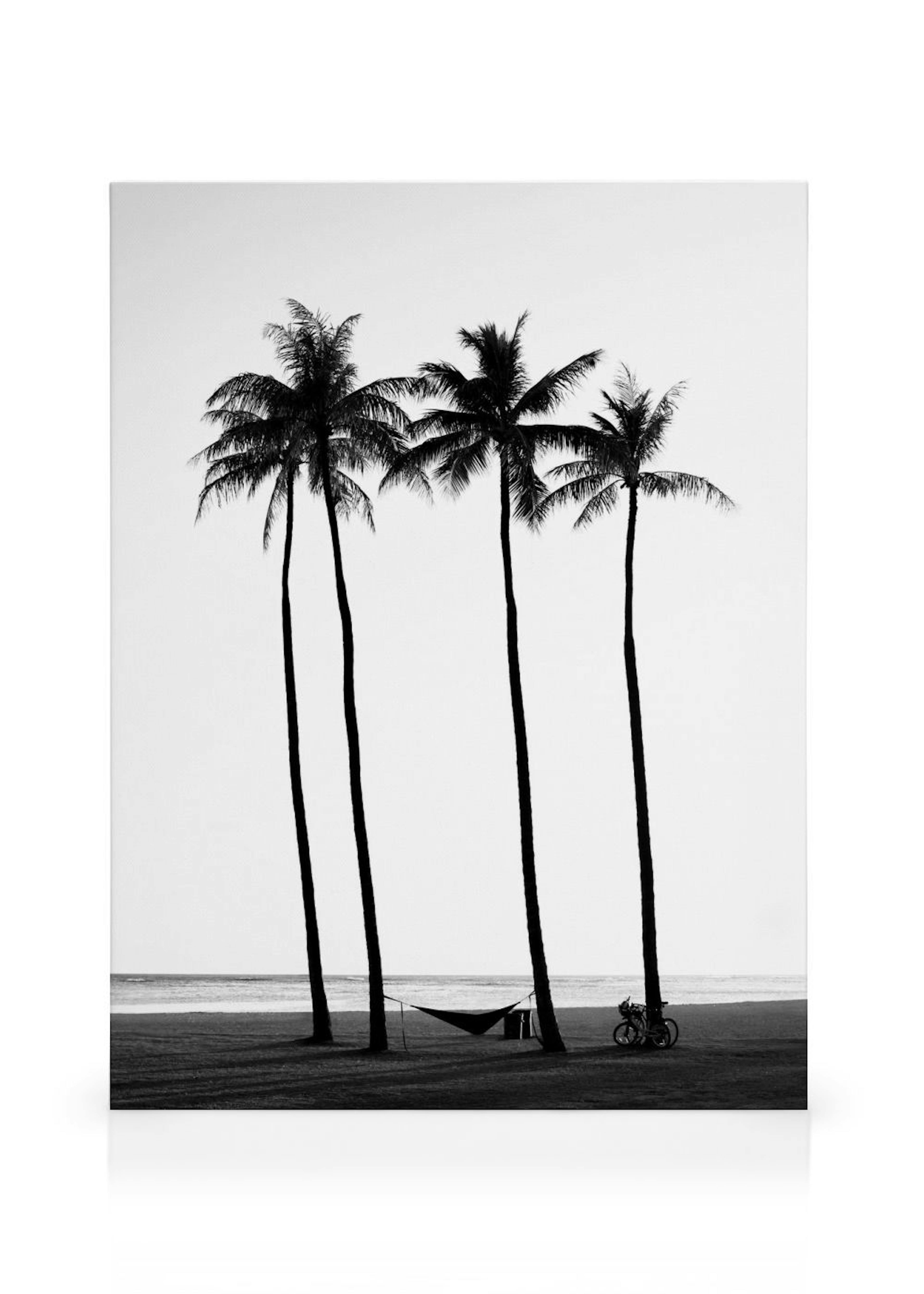 Palm Trees on Beach Lienzo