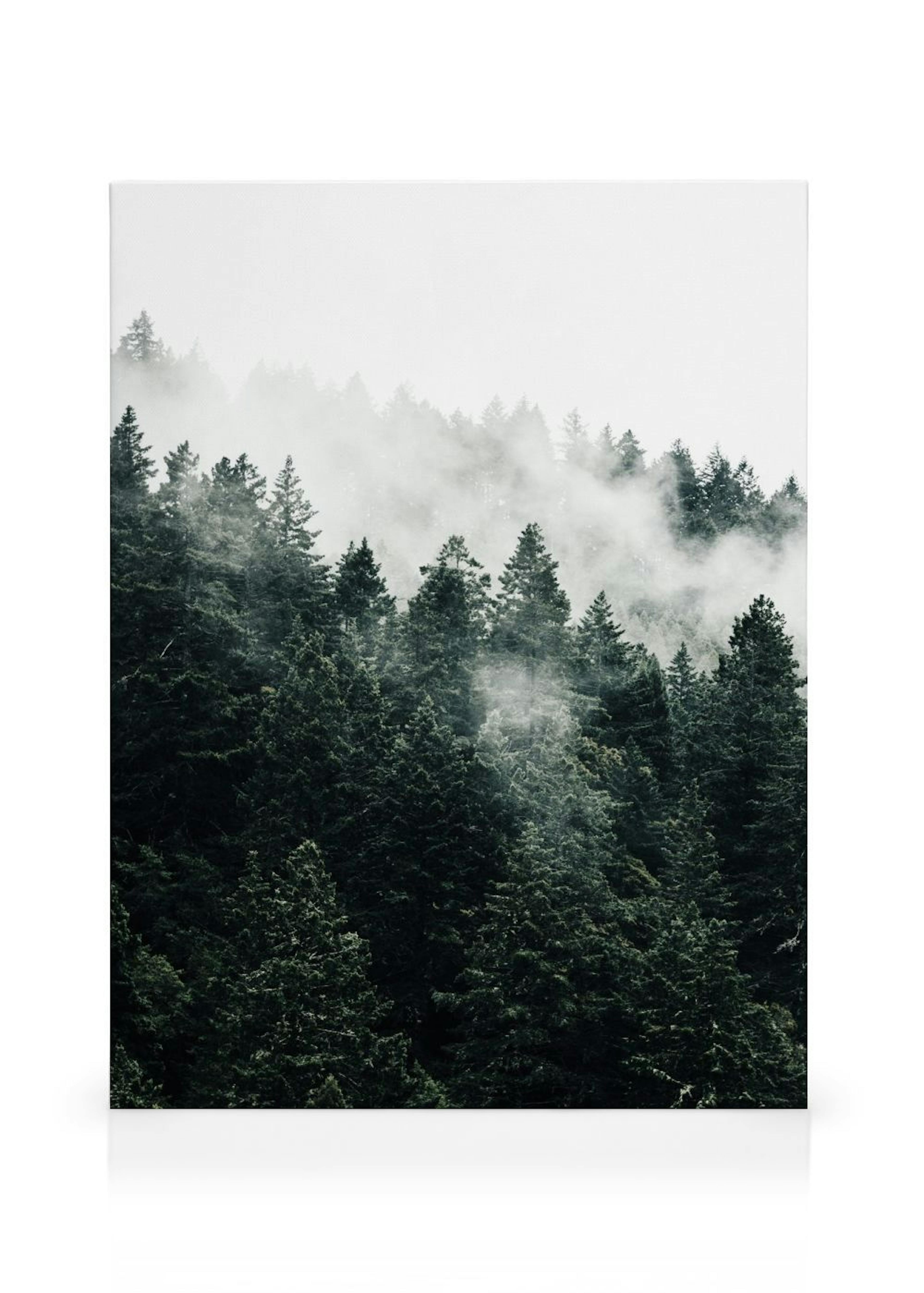 Product image: 1