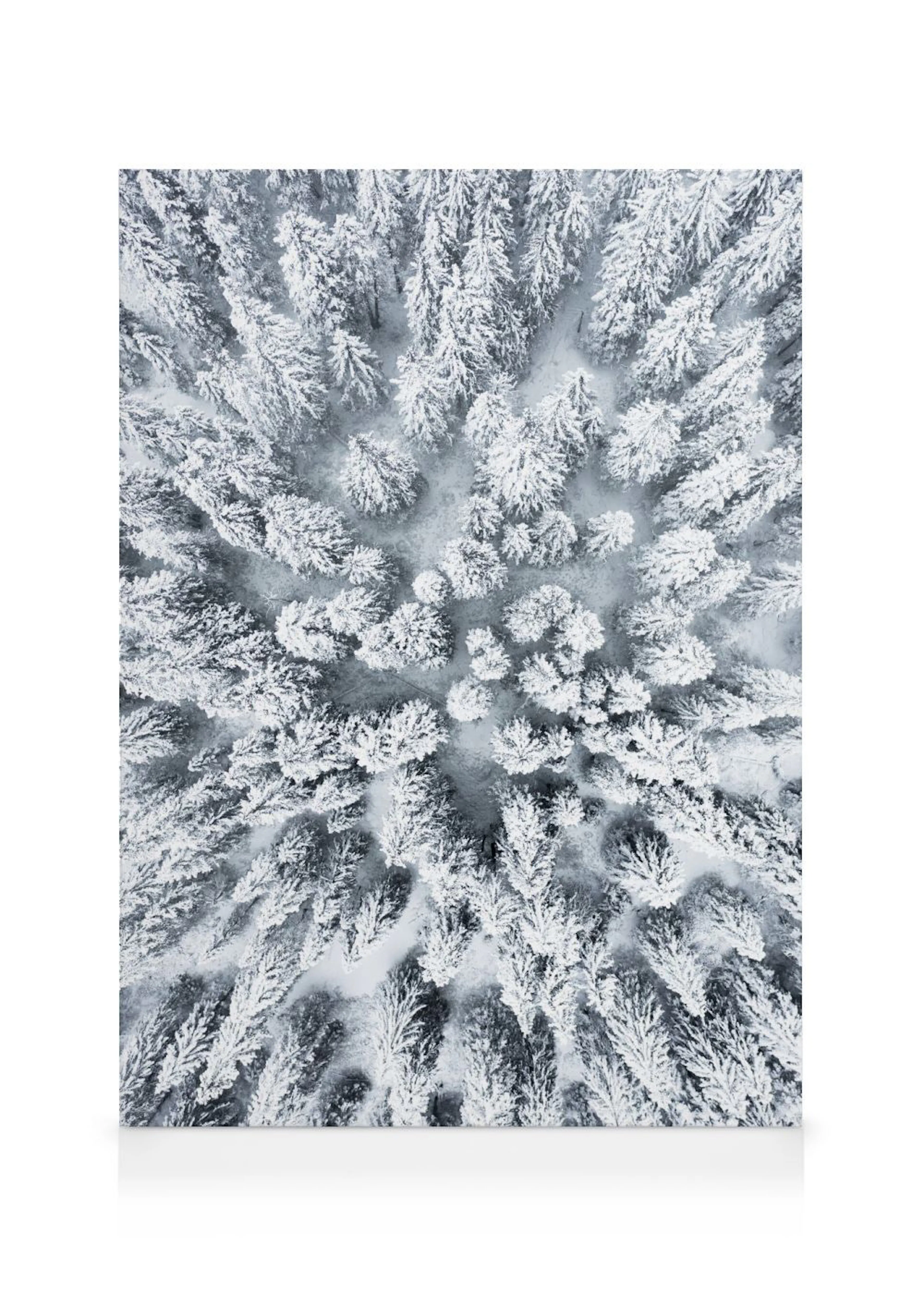 Overhead view of a snowy forest with pine trees covered in white snow, creating a winter landscape canvas print.
