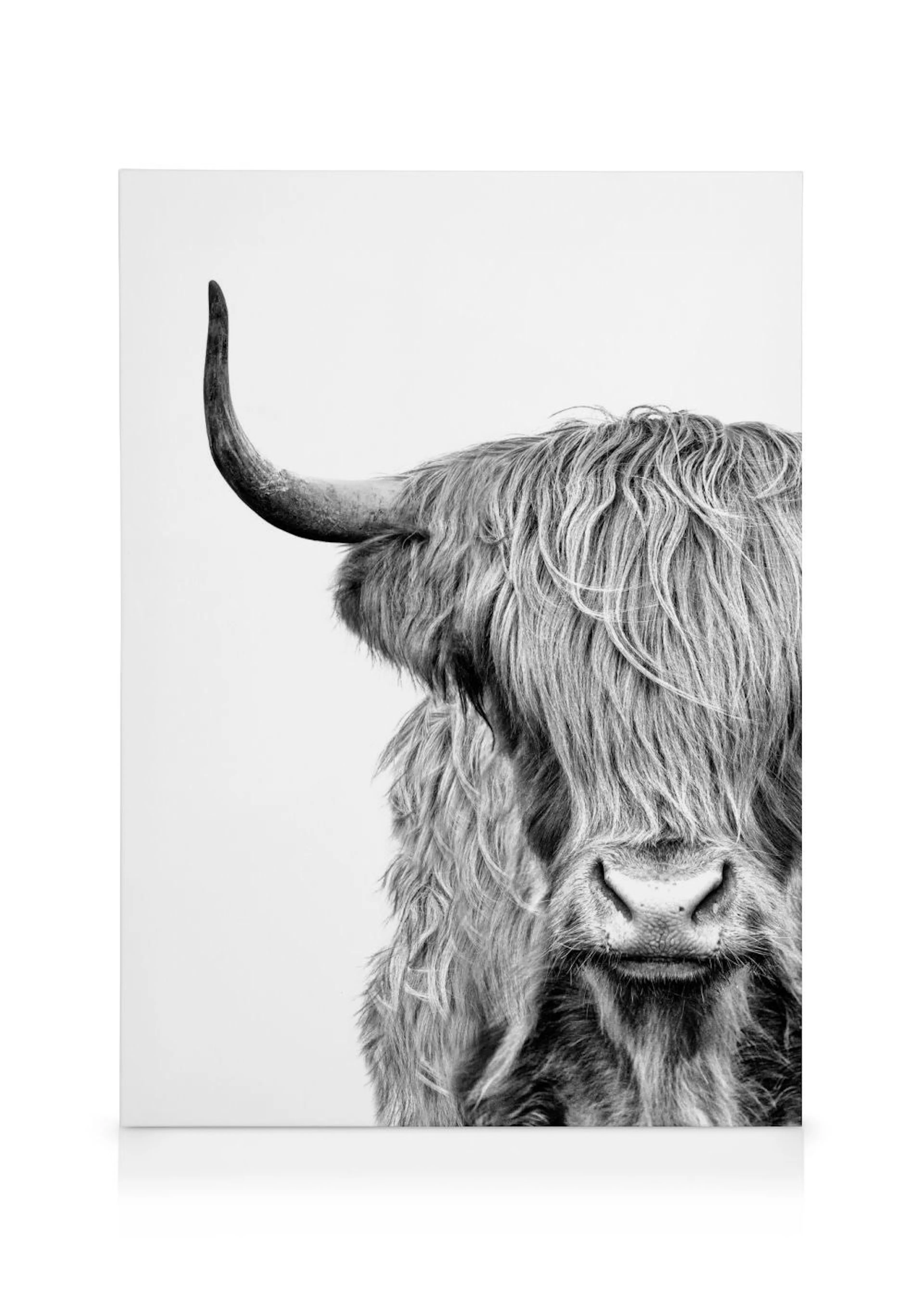 Black and white close-up canvas print of a Highland cow with shaggy fur and a single horn, ideal for rustic decor.