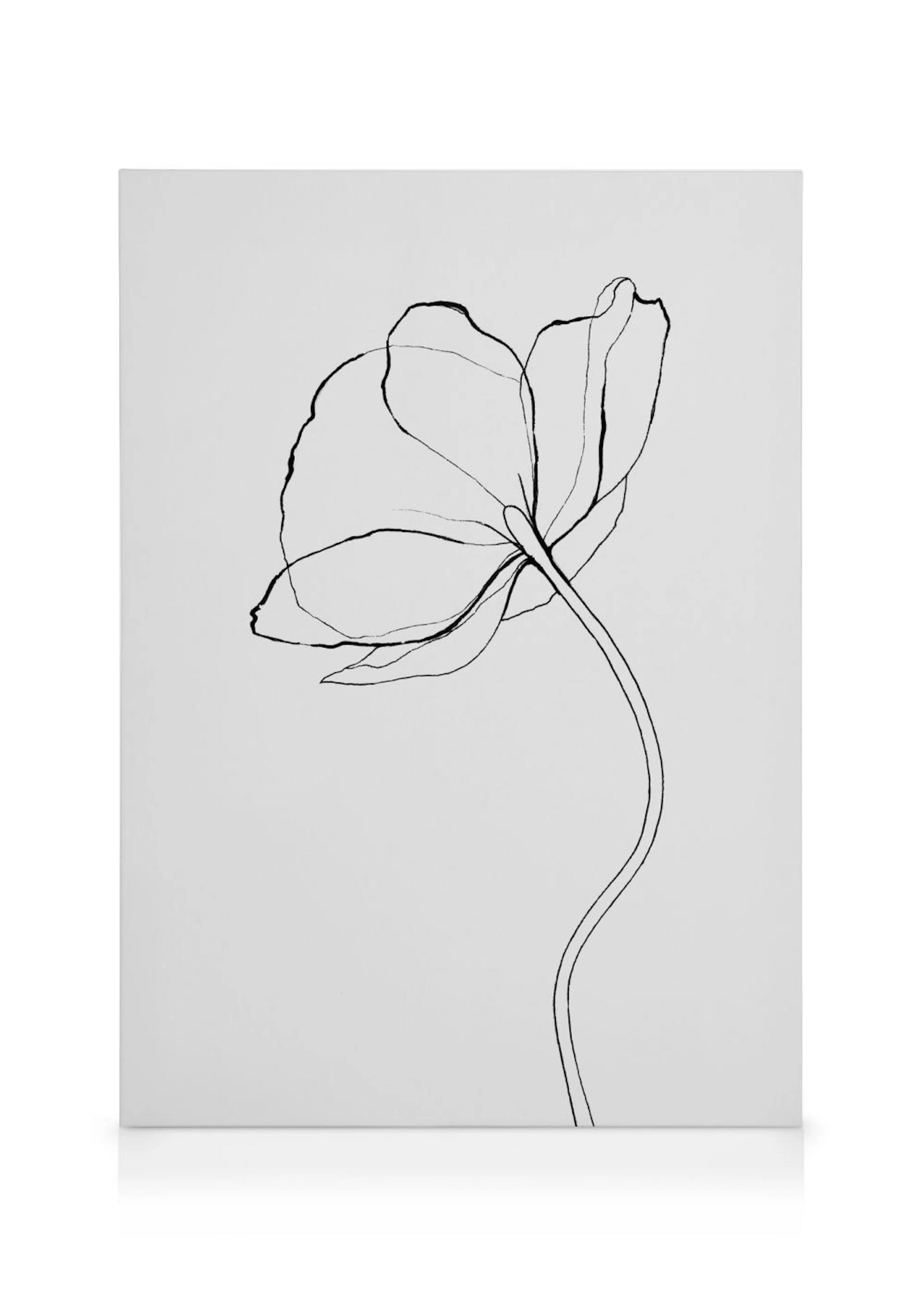 Minimalistische zwarte lijntekening van een papaverbloem op wit canvas, elegant en modern.