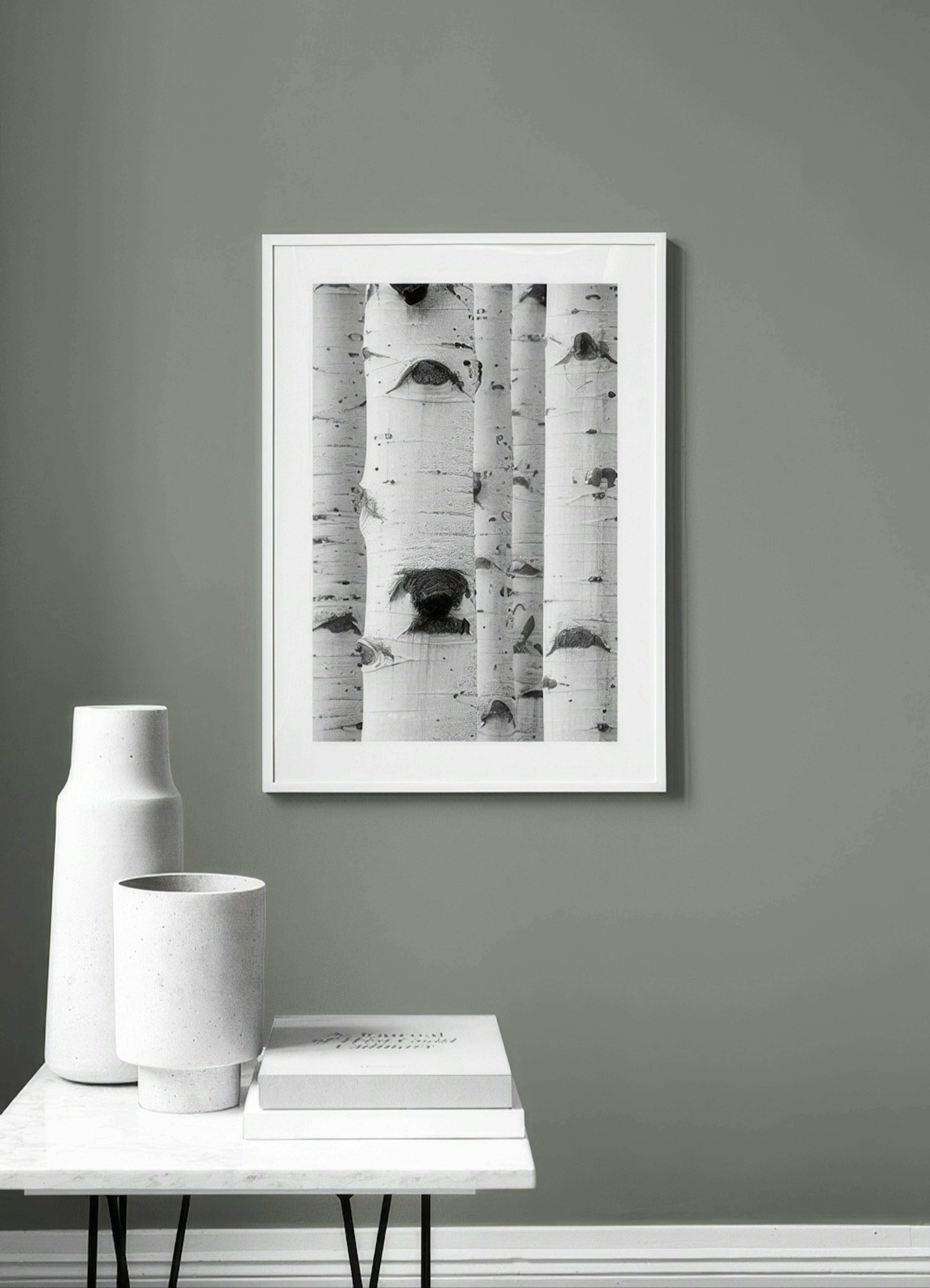 Birch Trees Affiche