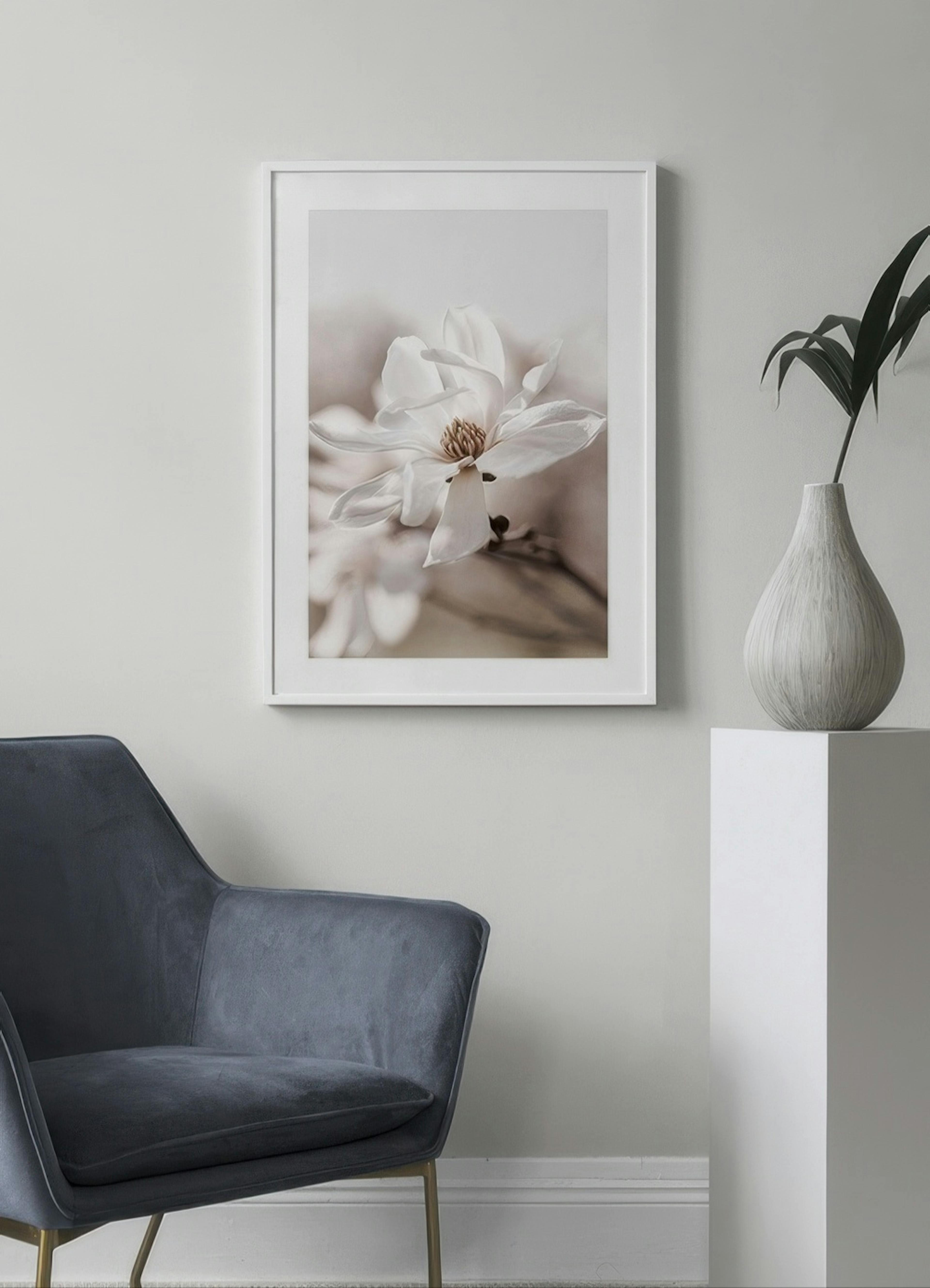 Star Magnolia Blossom Affiche