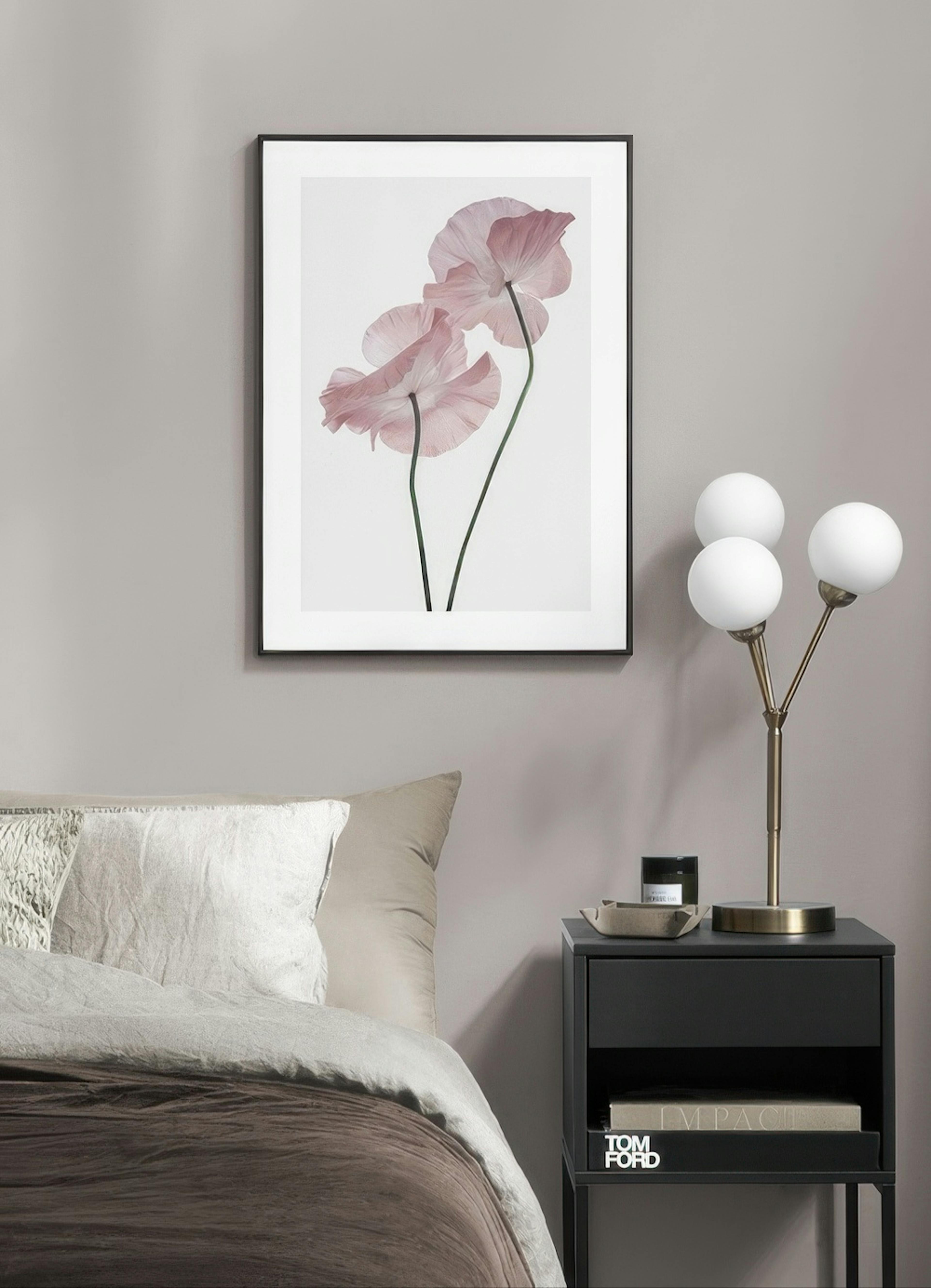 Pink Poppies Affiche