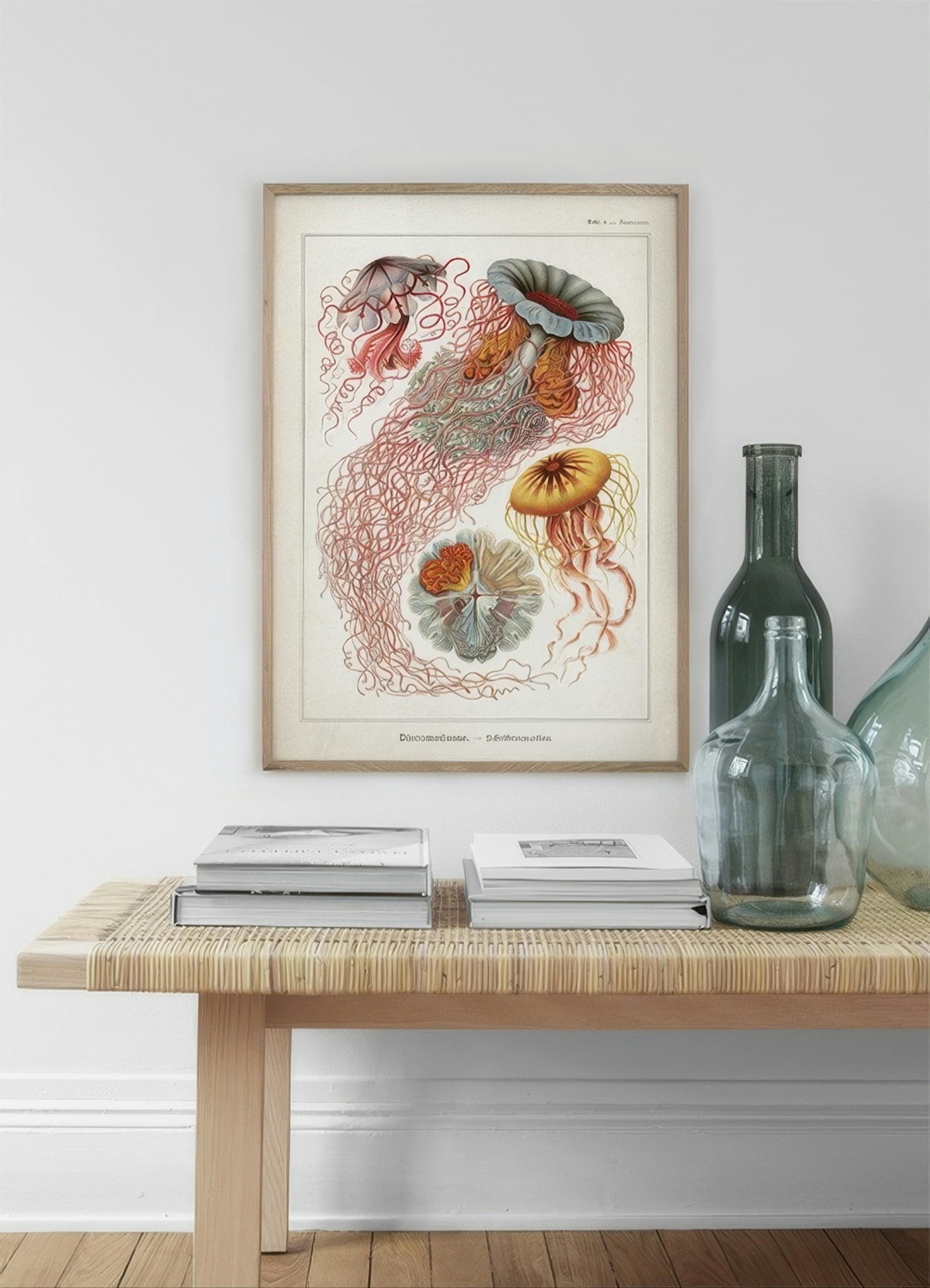 Vintage Print Collection No1 Poster