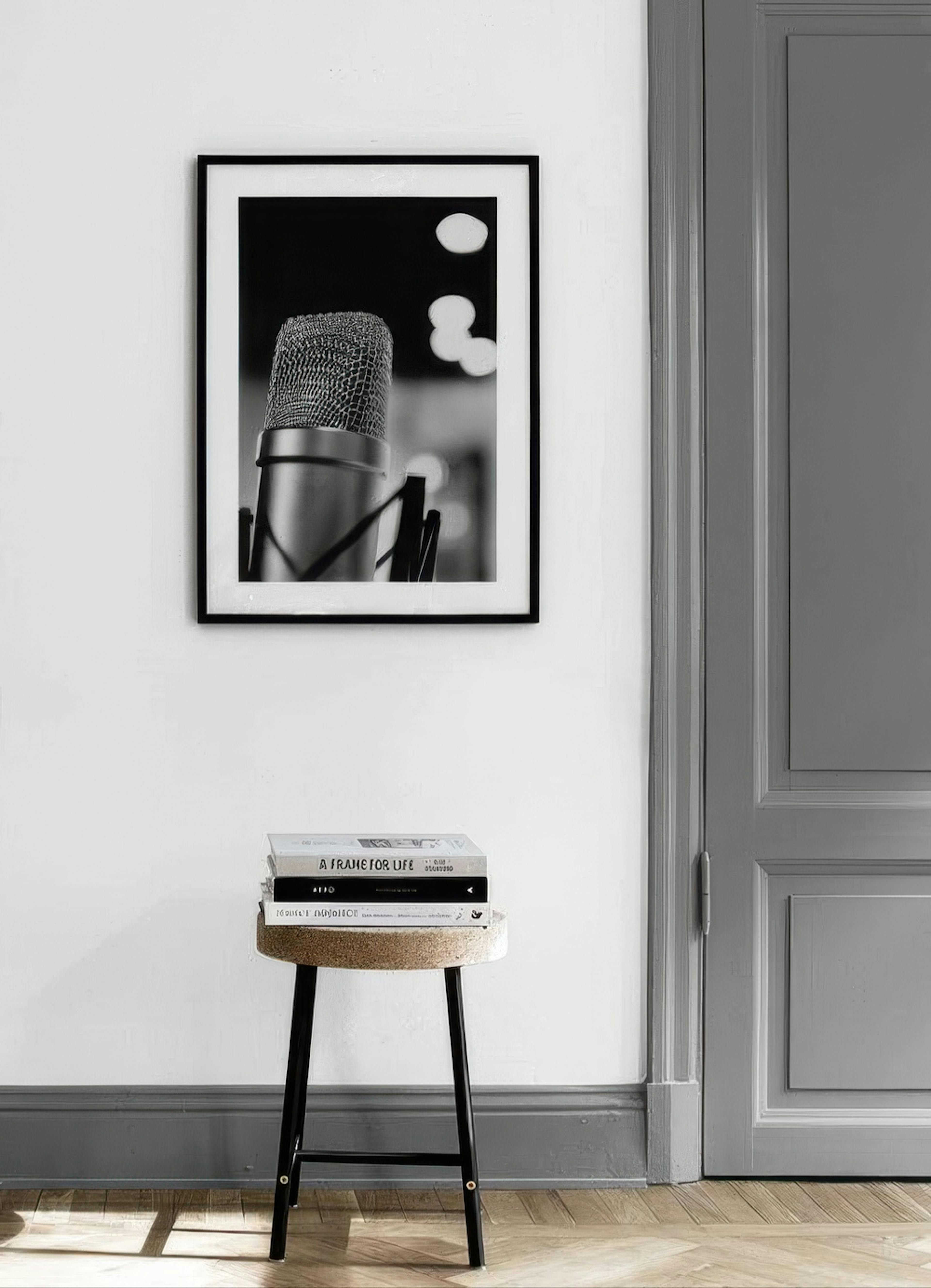 The Microphone 포스터