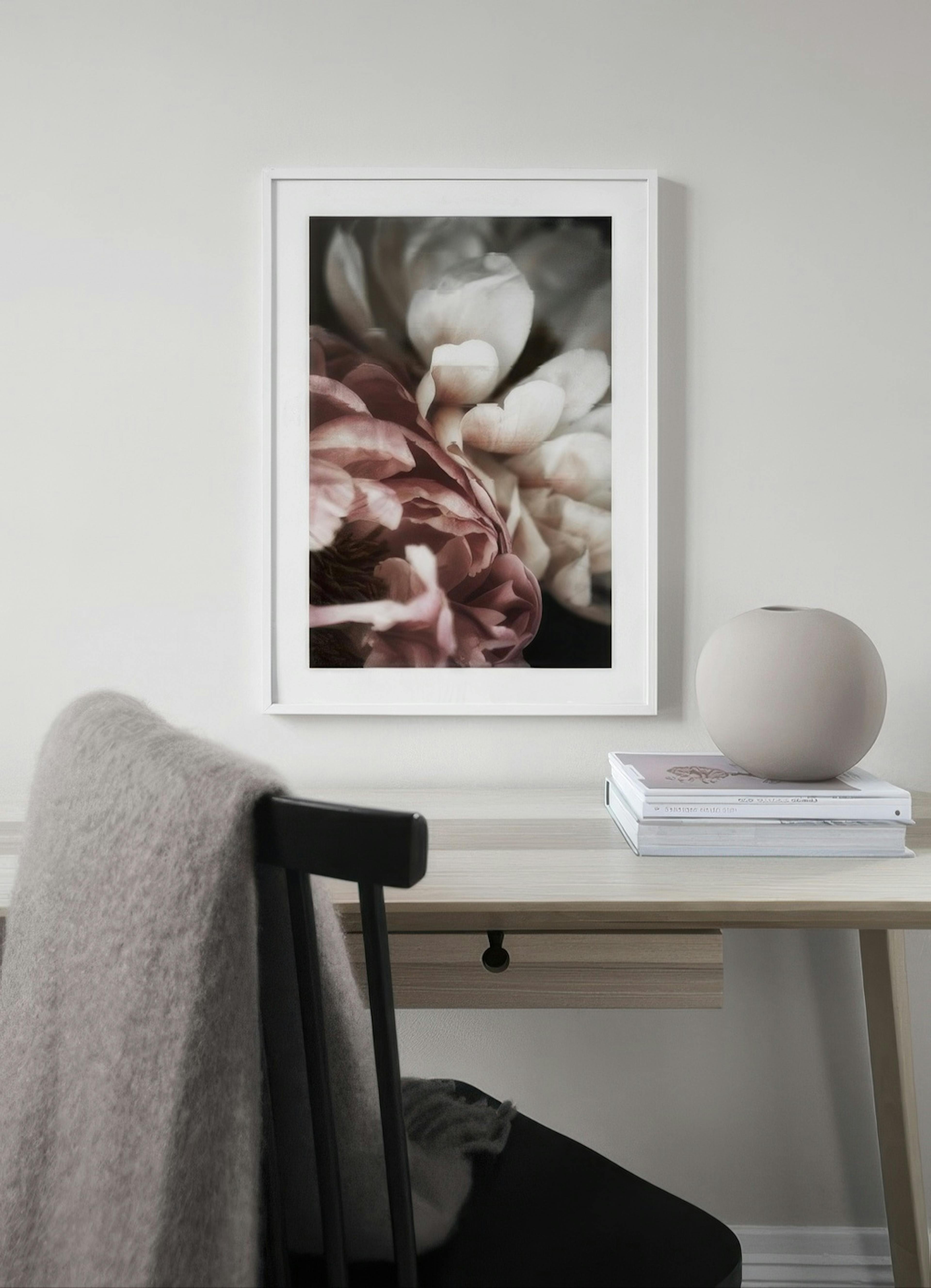Pink and White Peony Poster