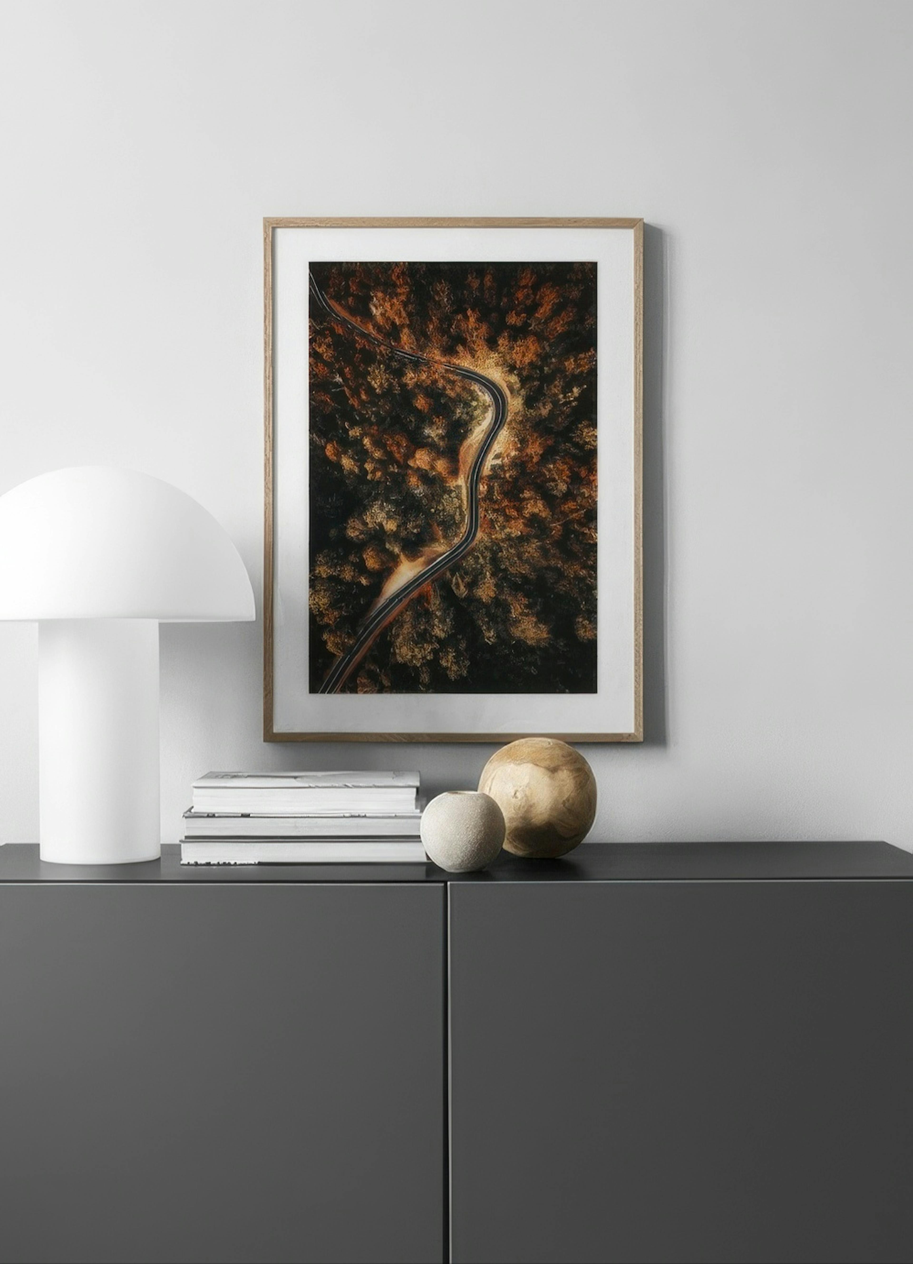 Autumn Aerial View Affiche