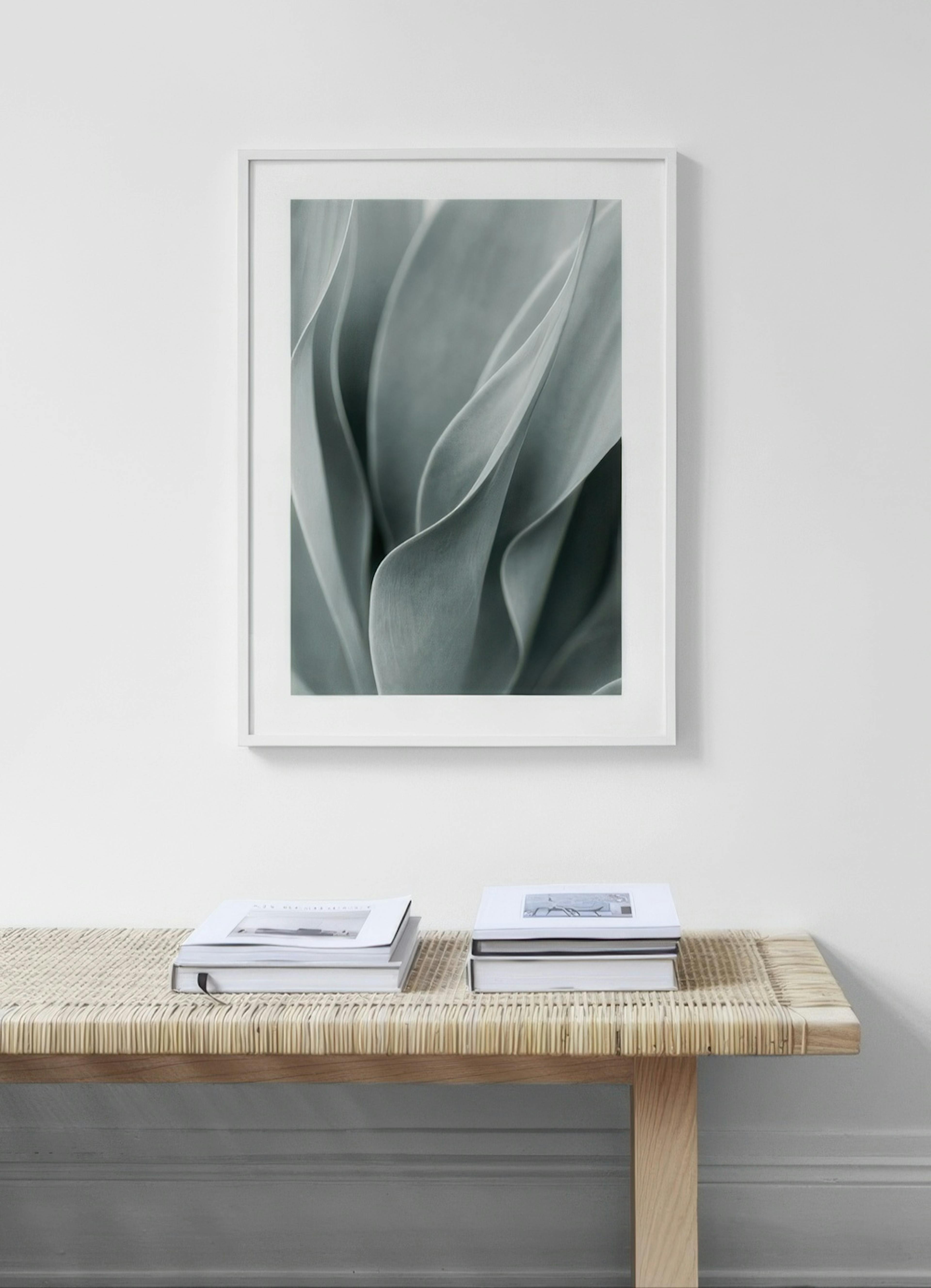 Agave Leaves No3 Poster