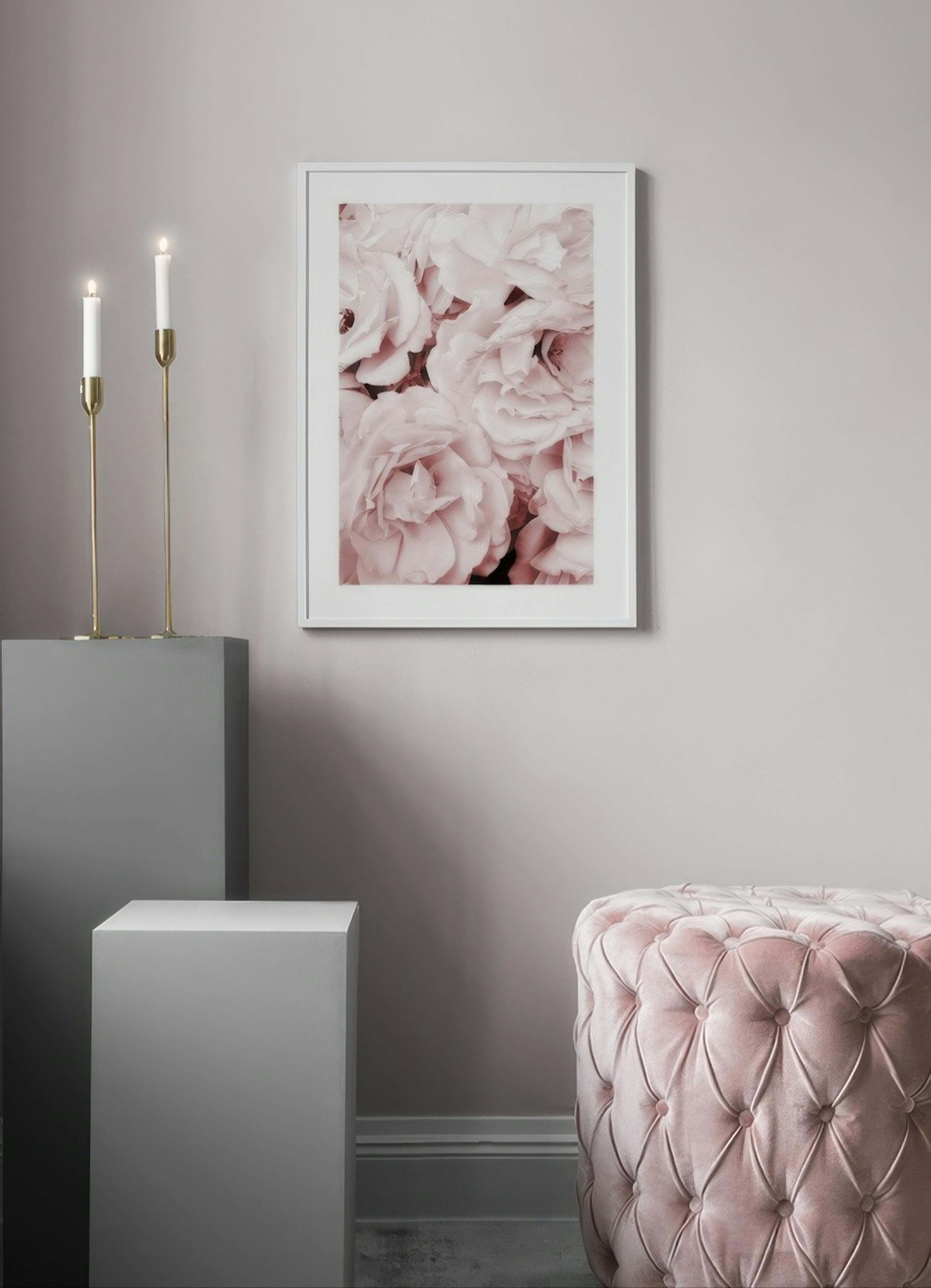 Close Up Pink Roses Print