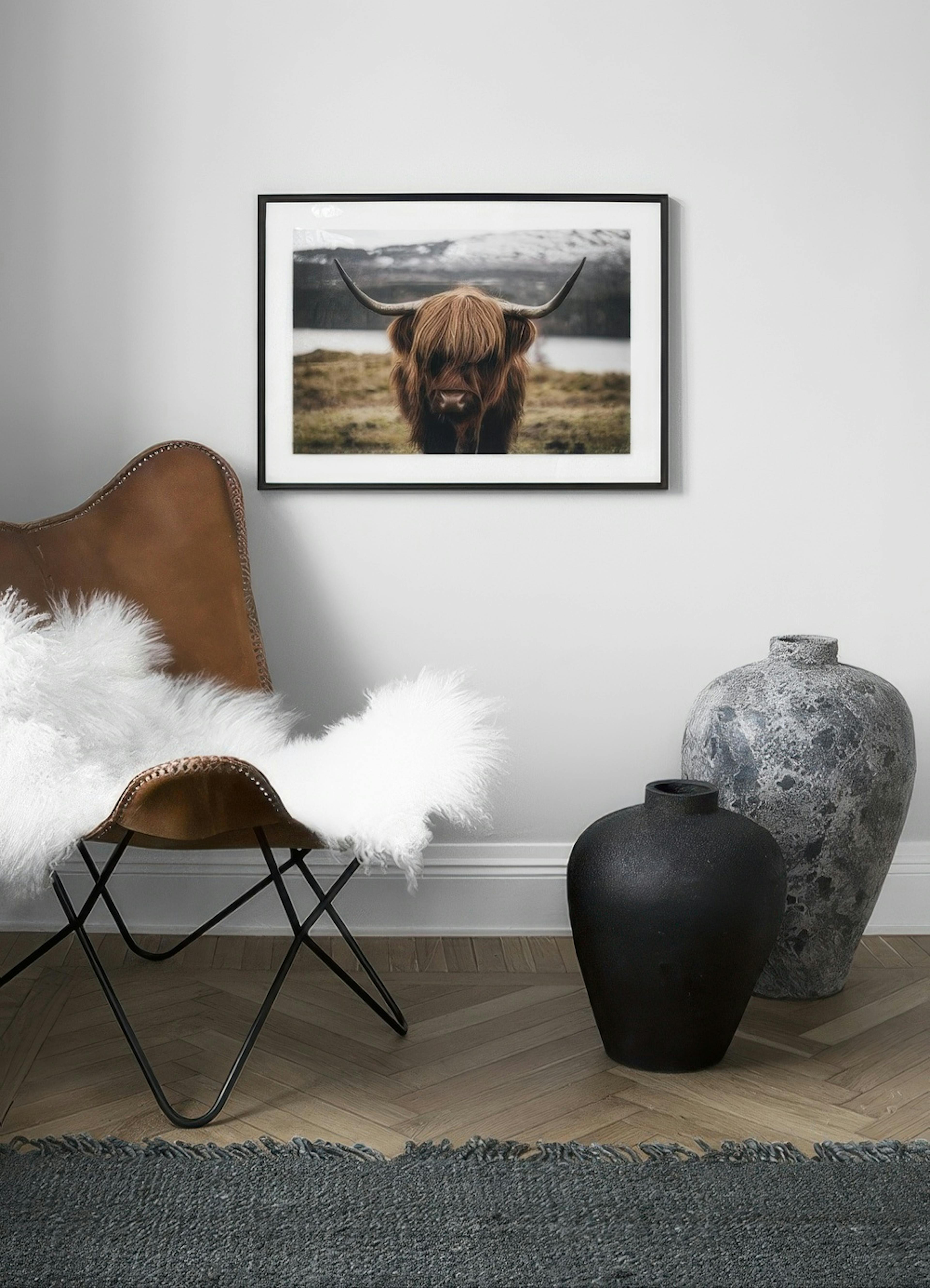 Scottish Highland Cattle Poster