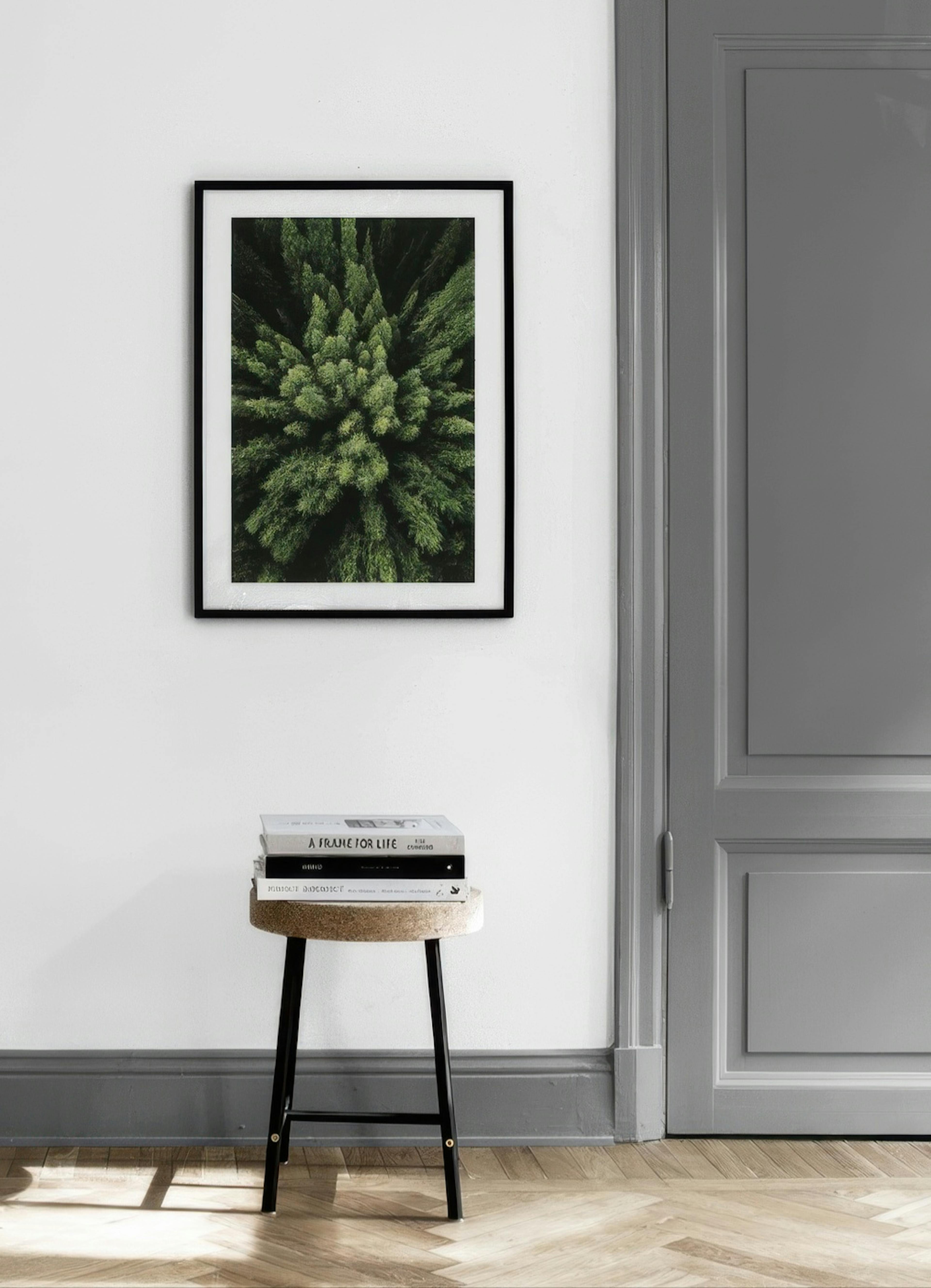 Aerial Forest Print