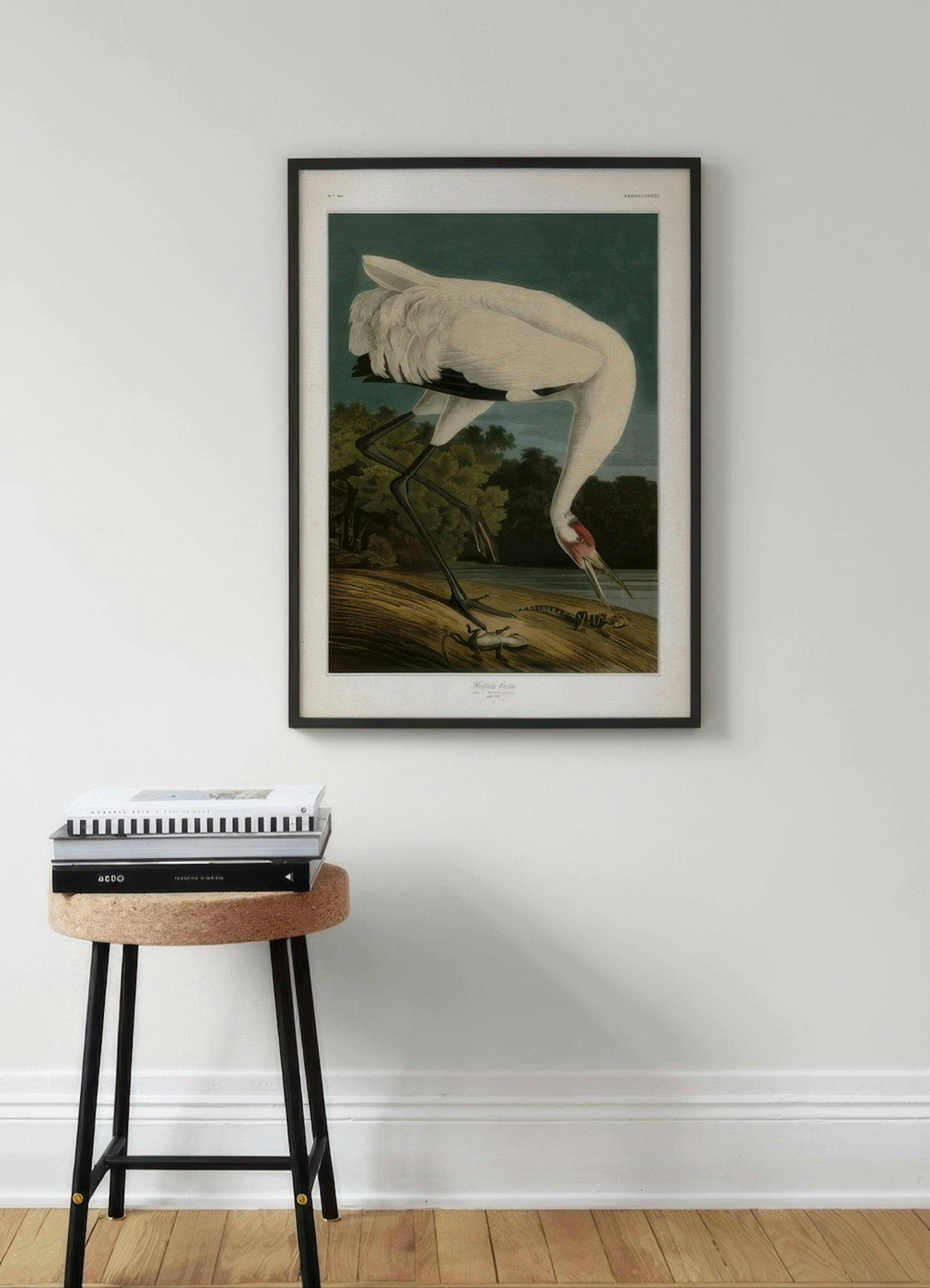 Whooping Crane Print