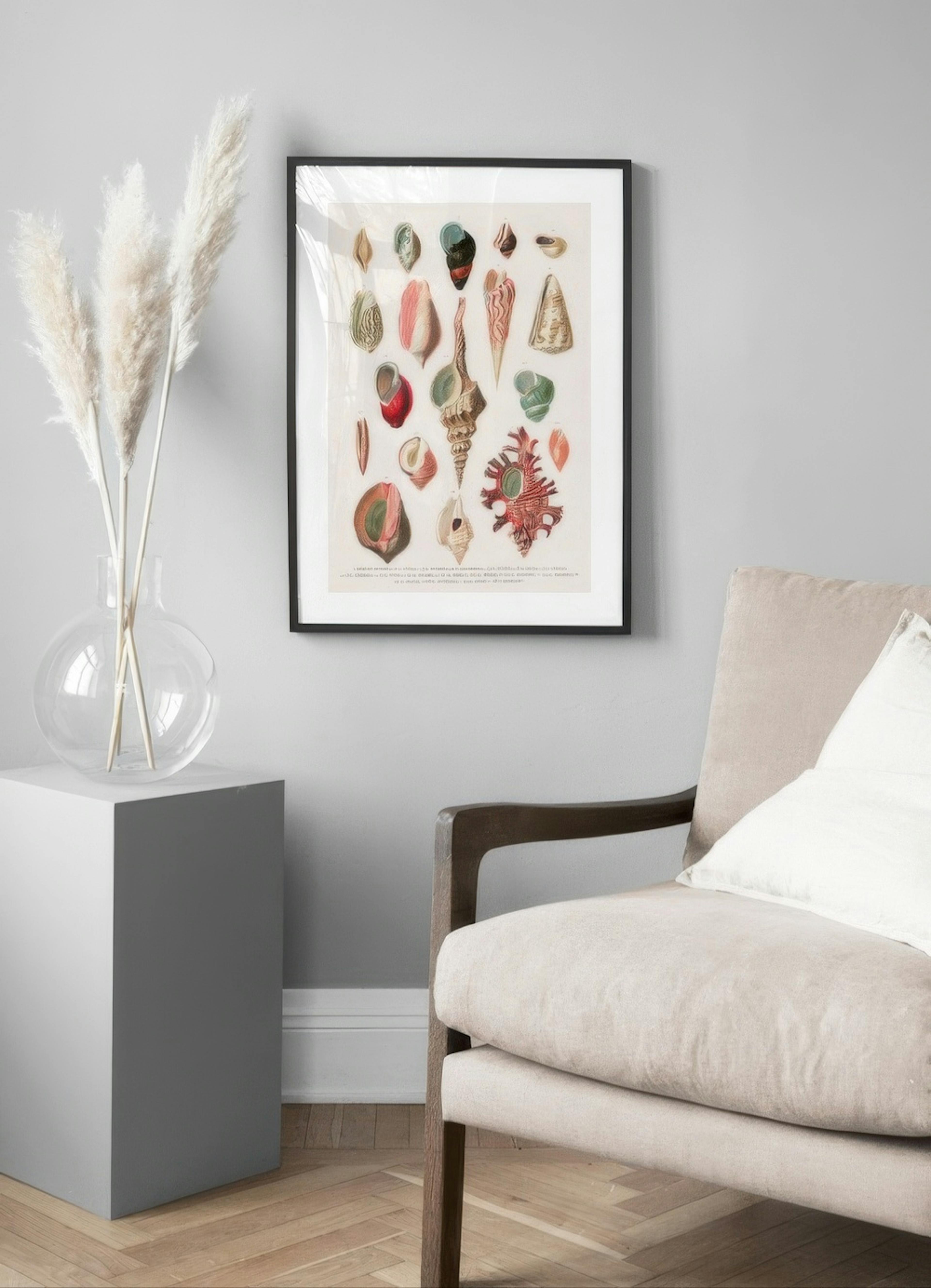 Vintage Seashells No1 Print