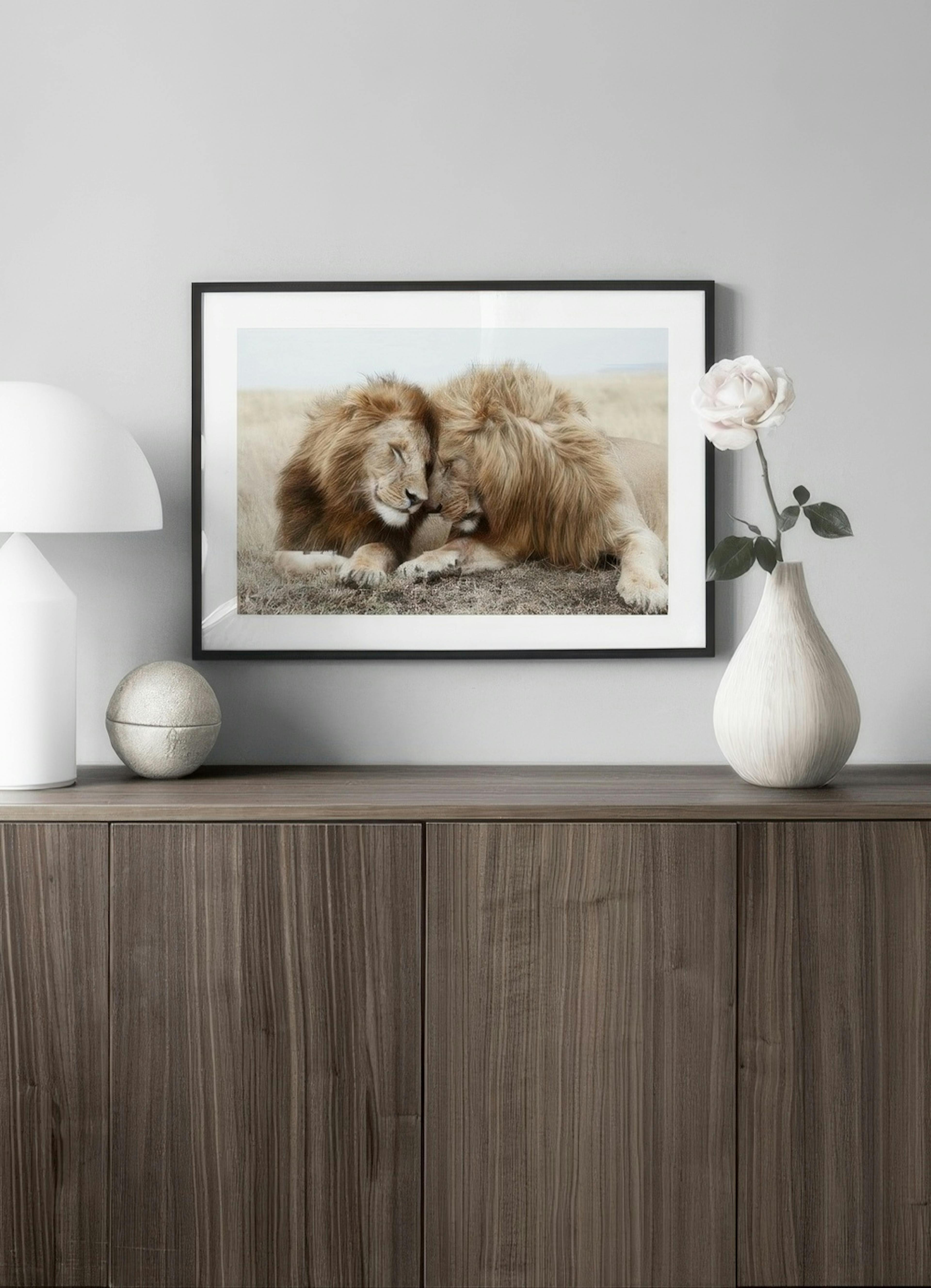 Lion Brothers Affiche