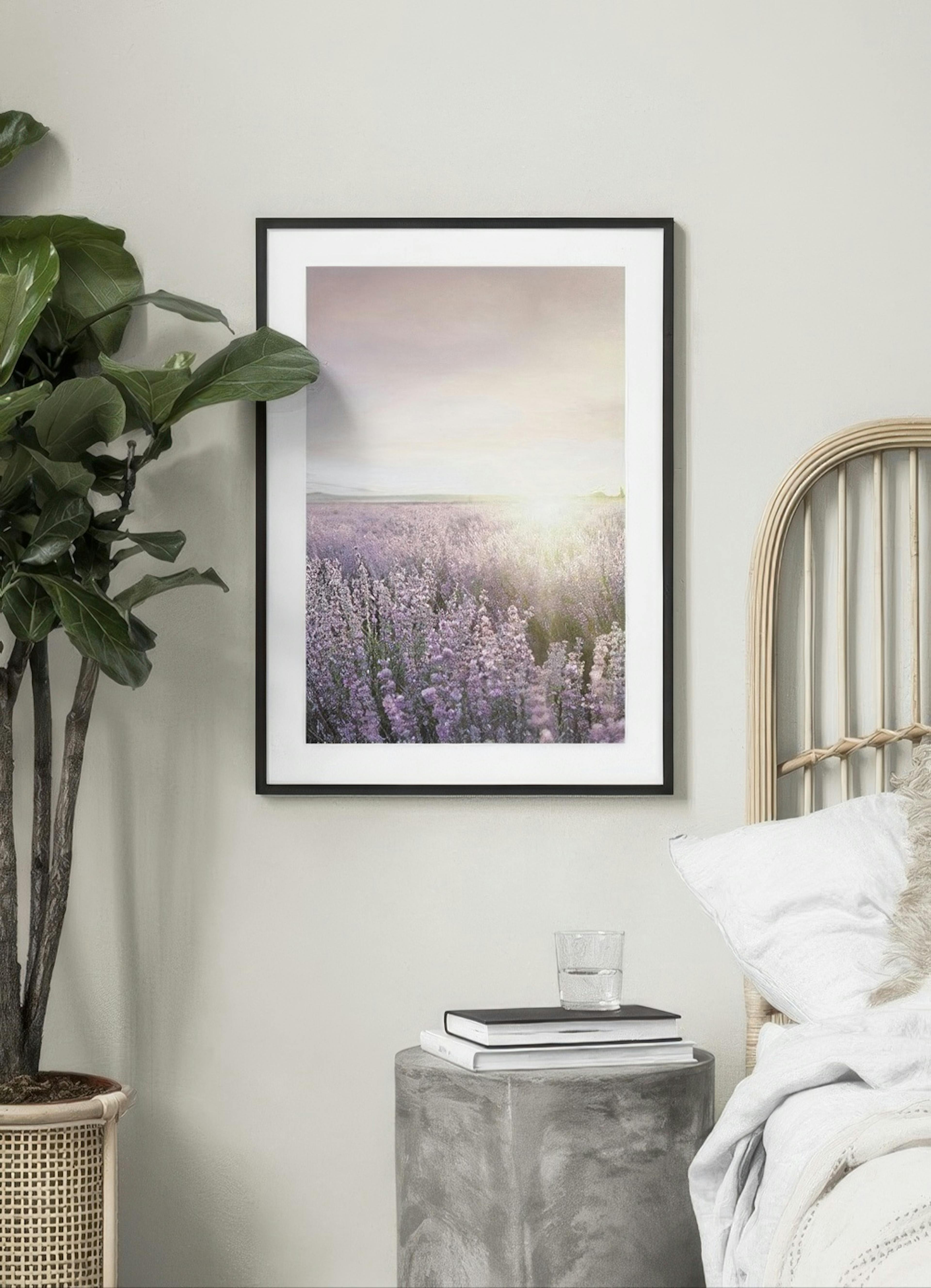 Lavender Field Print