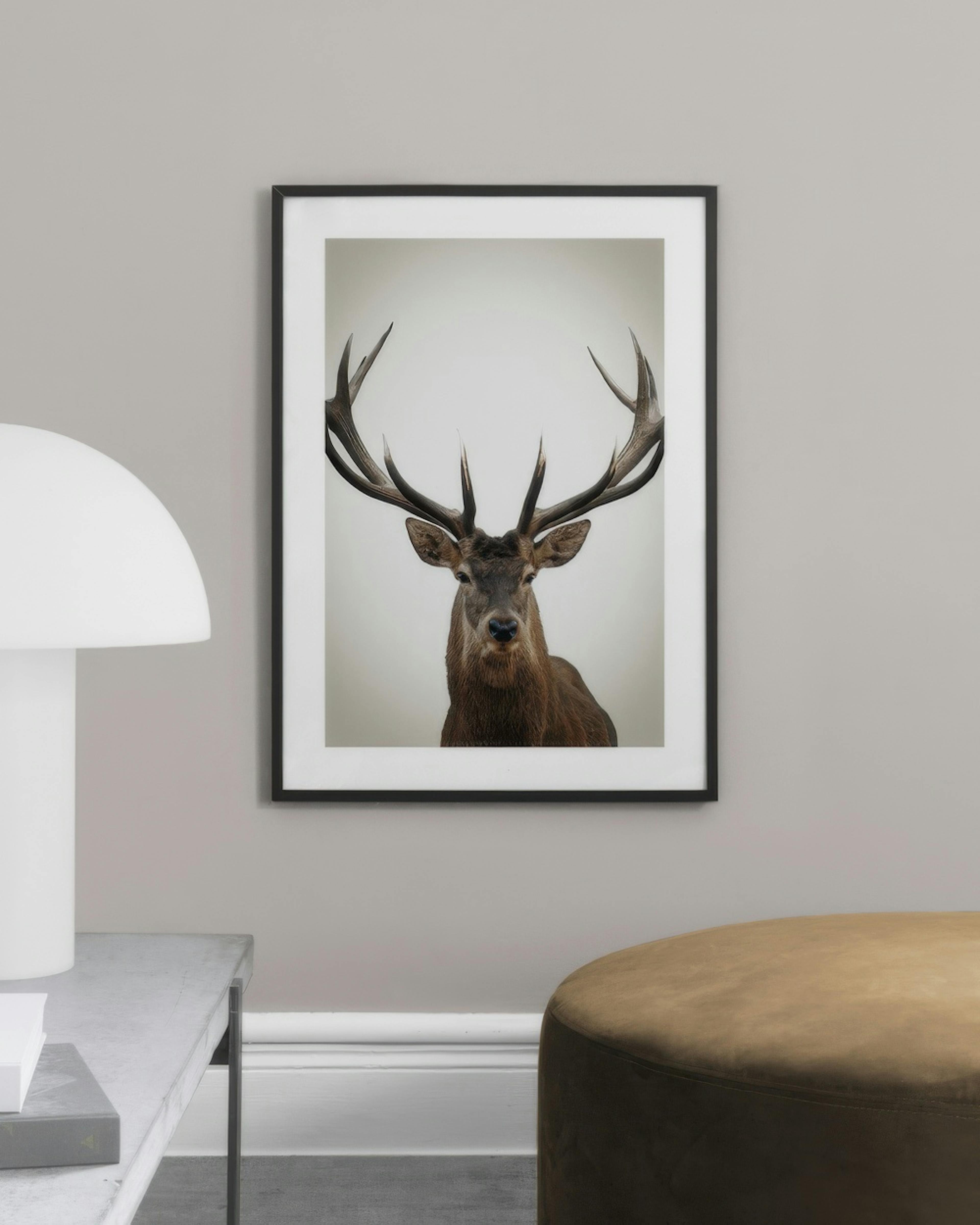 Winter Deer 포스터