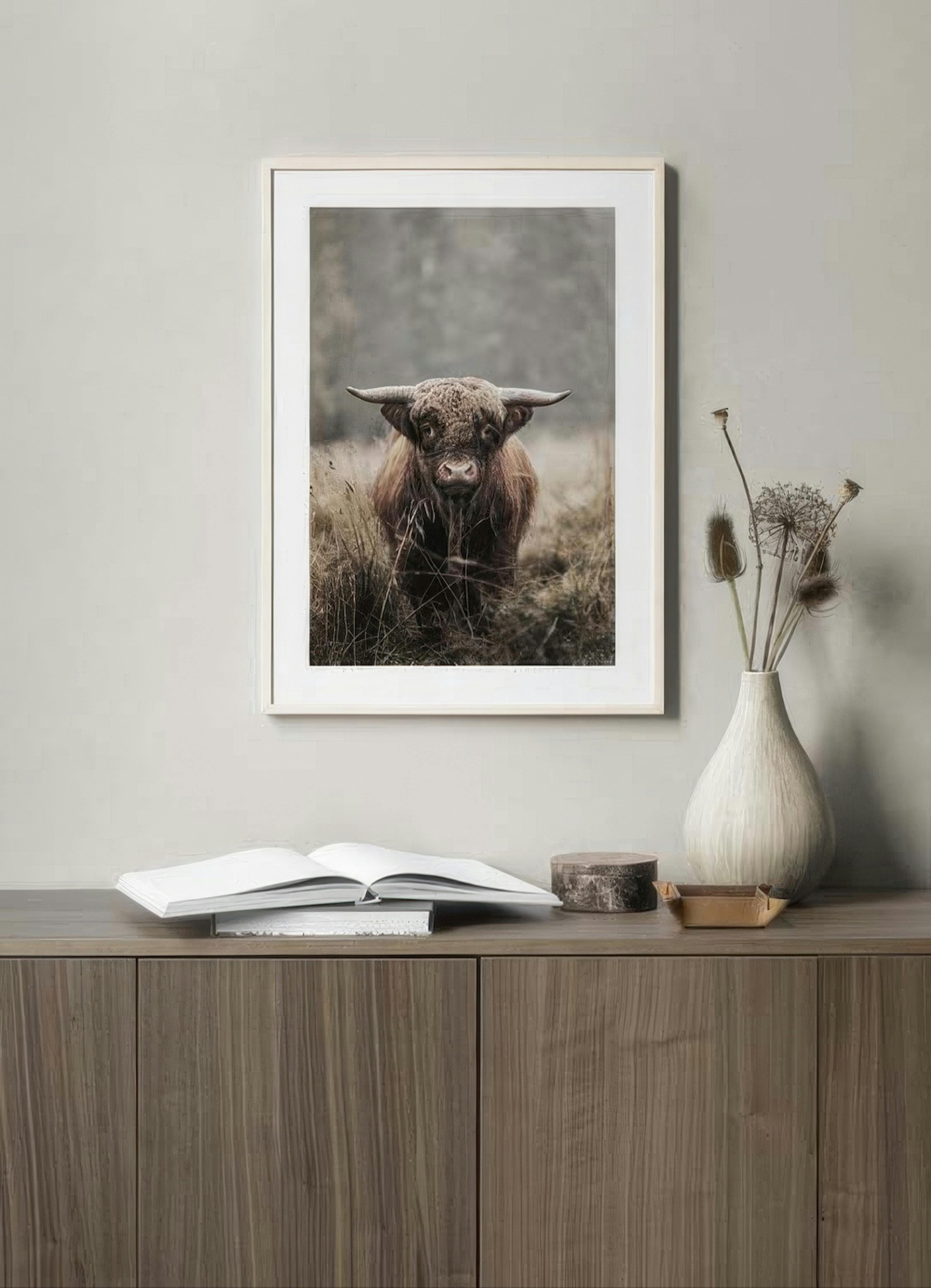 Facing A Cow Poster