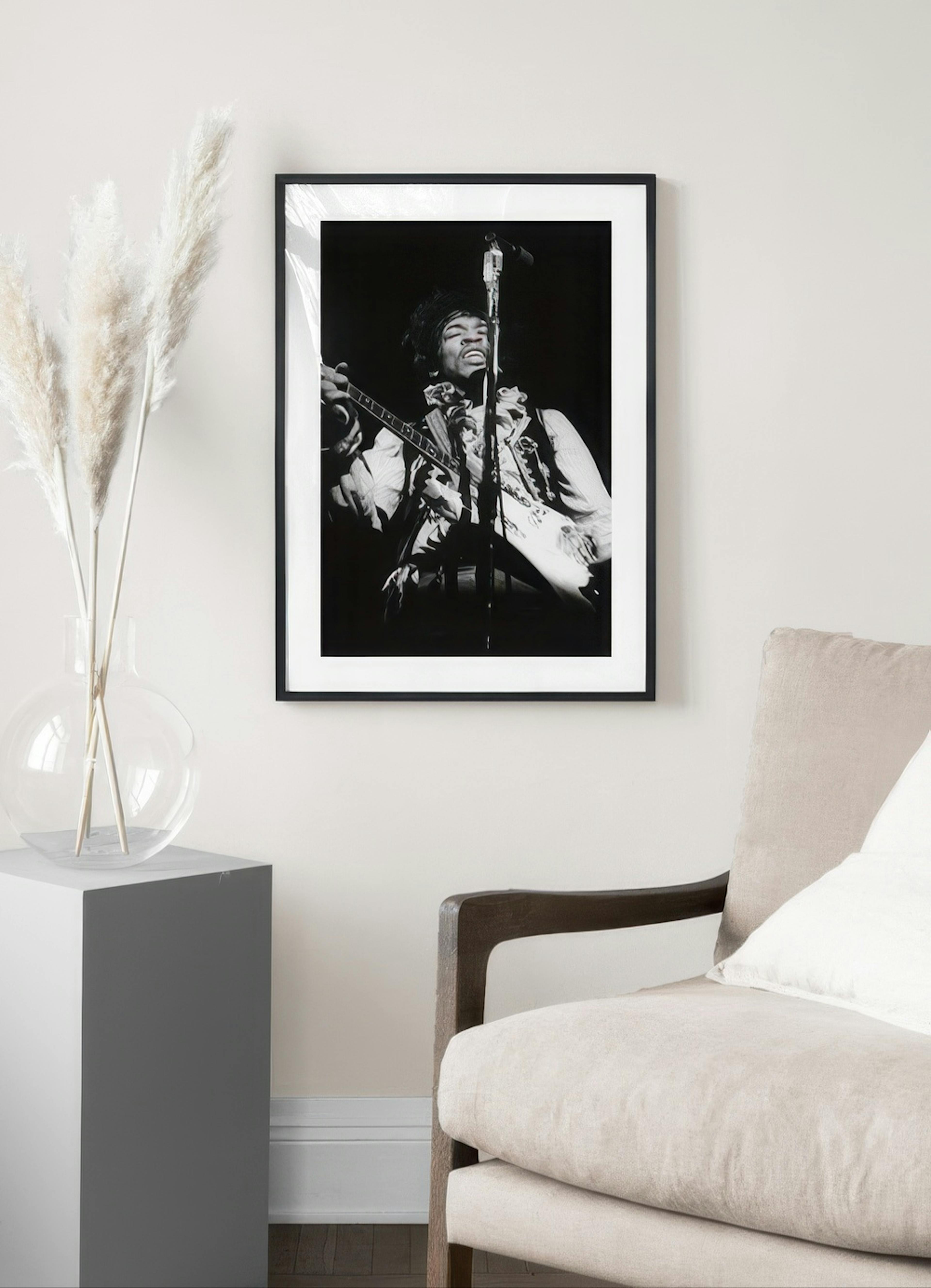 Jimi Hendrix Print