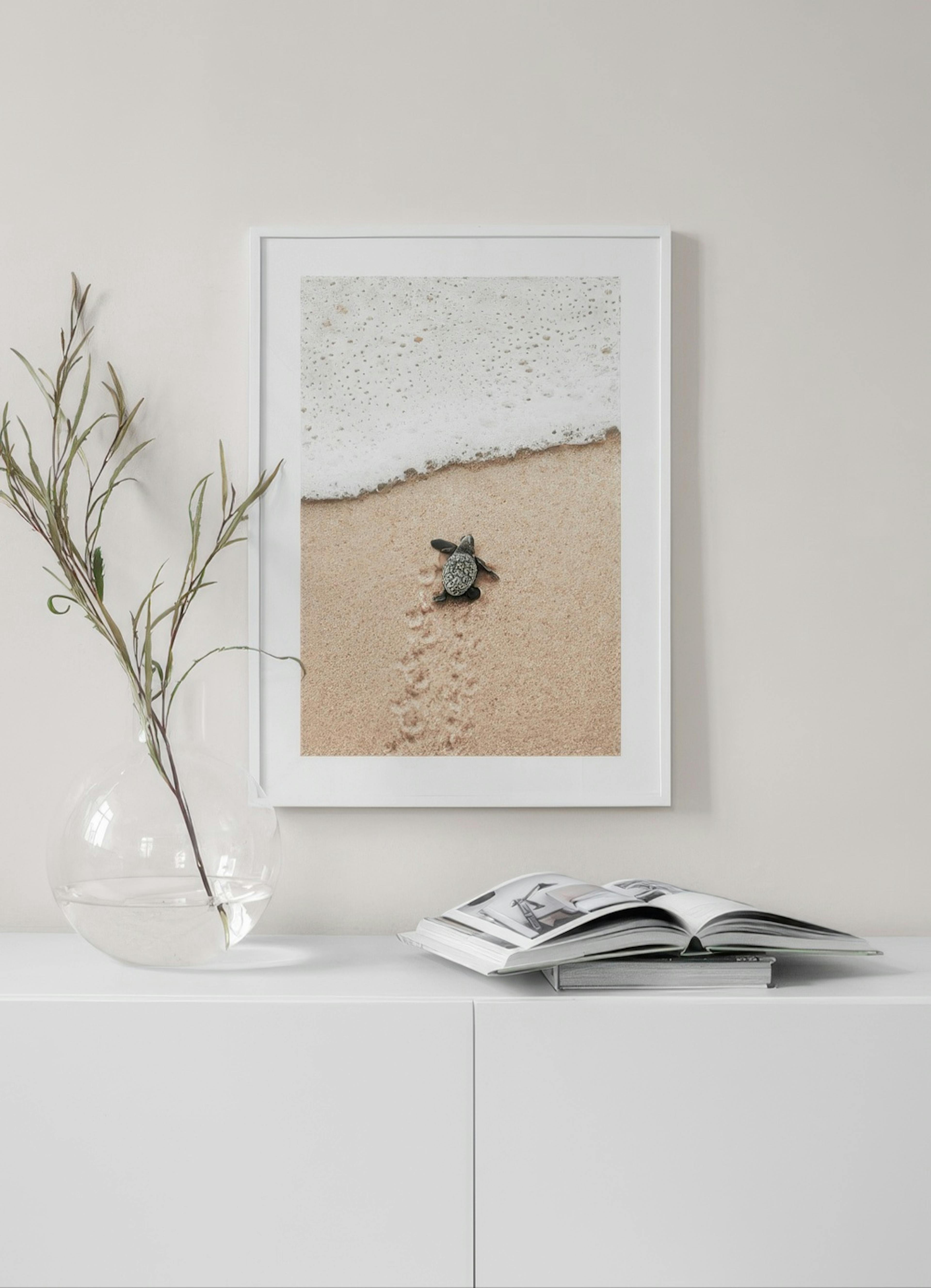 Baby Turtle Poster