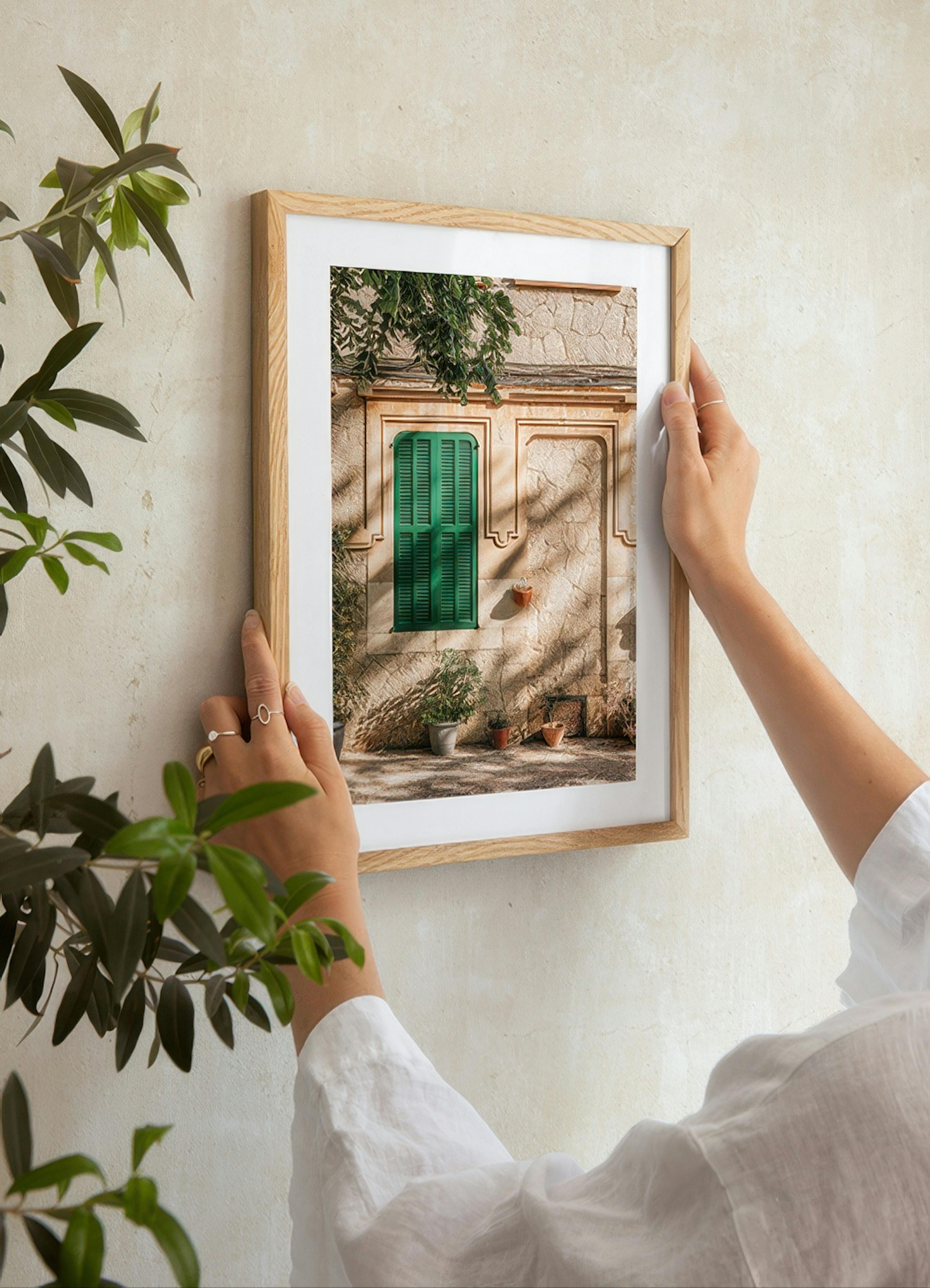 Green Window Poster