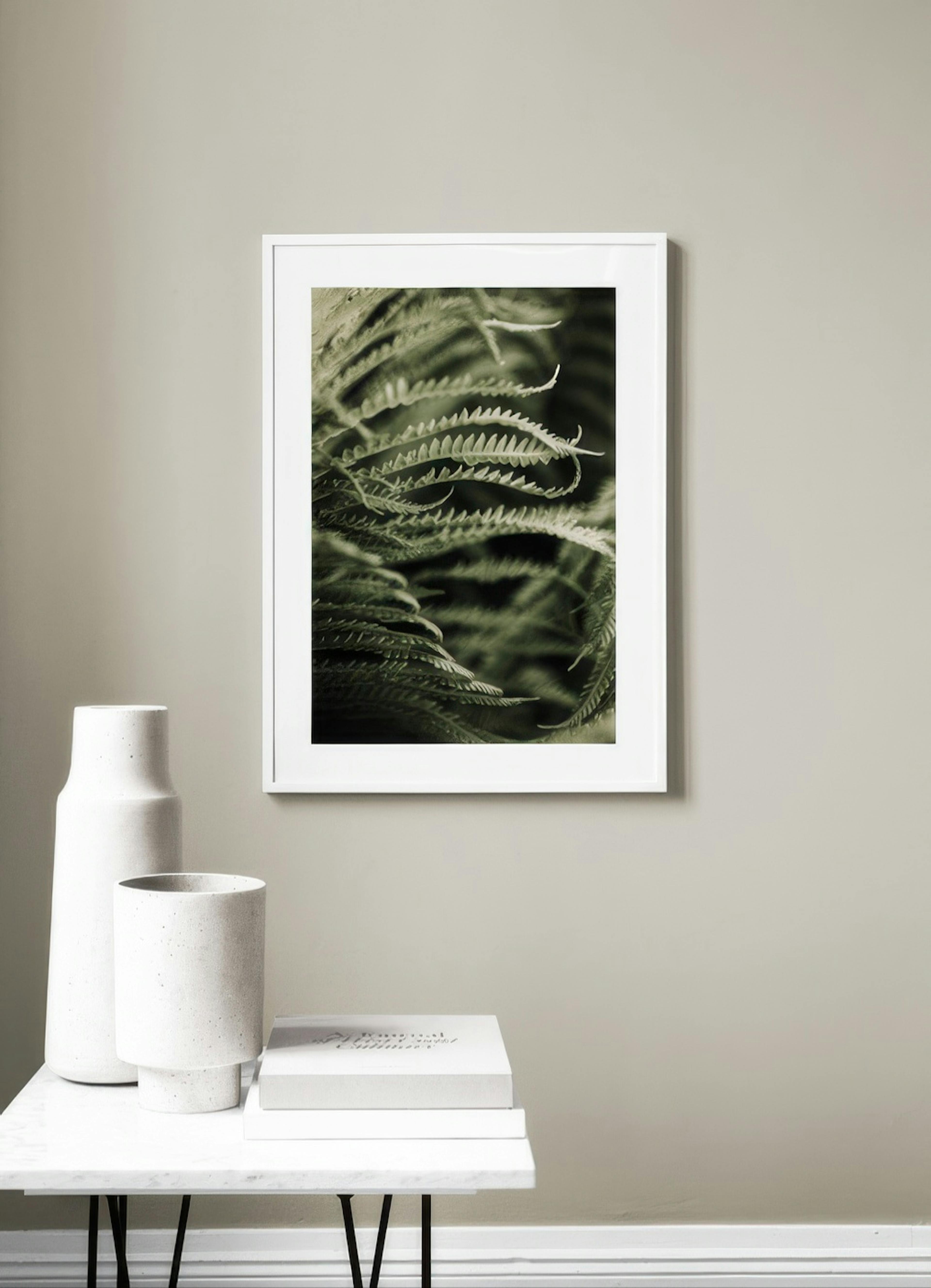 Fern Close Up Juliste