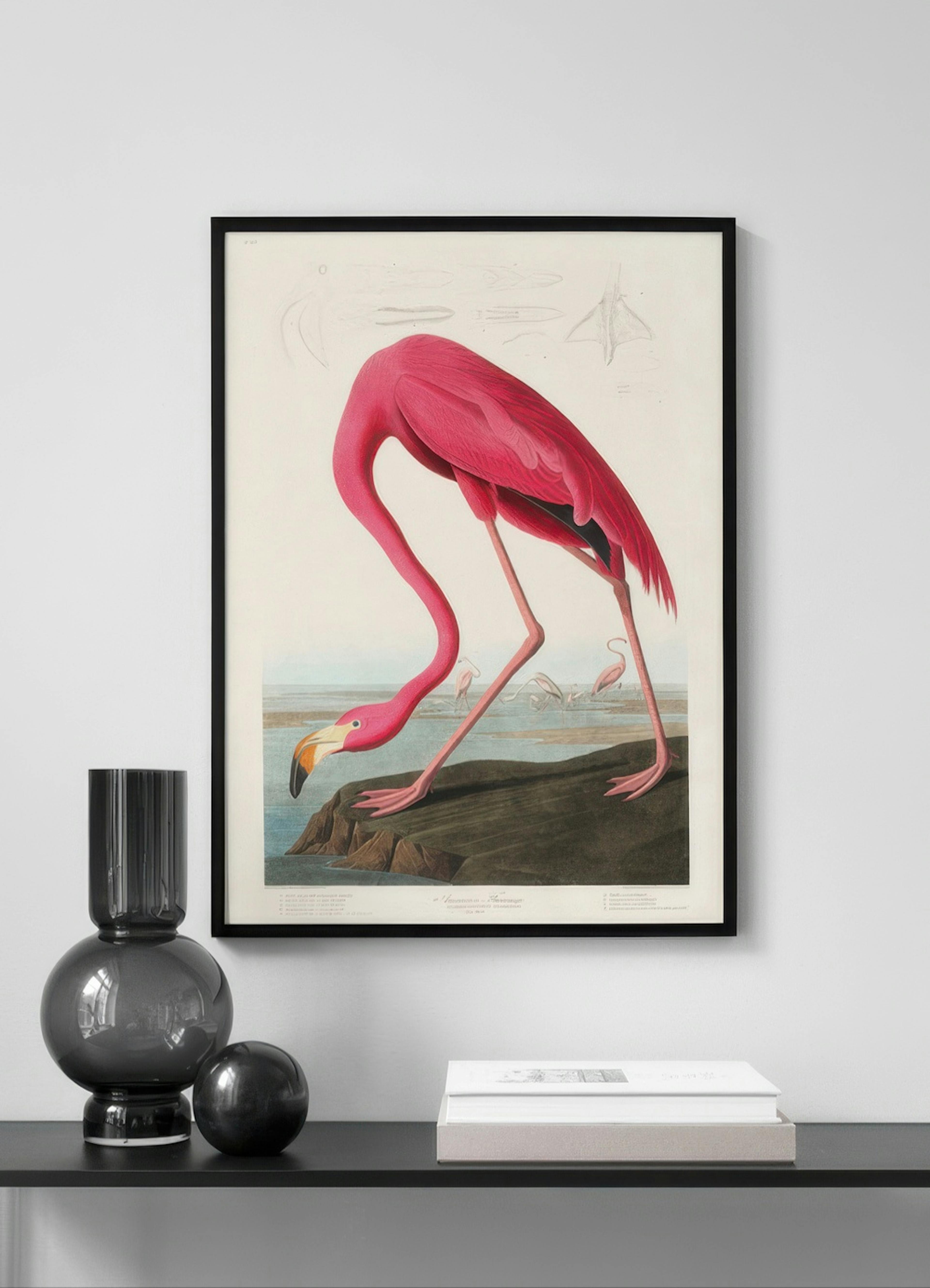 Audubon - Pink Flamingo from Birds of America Poster