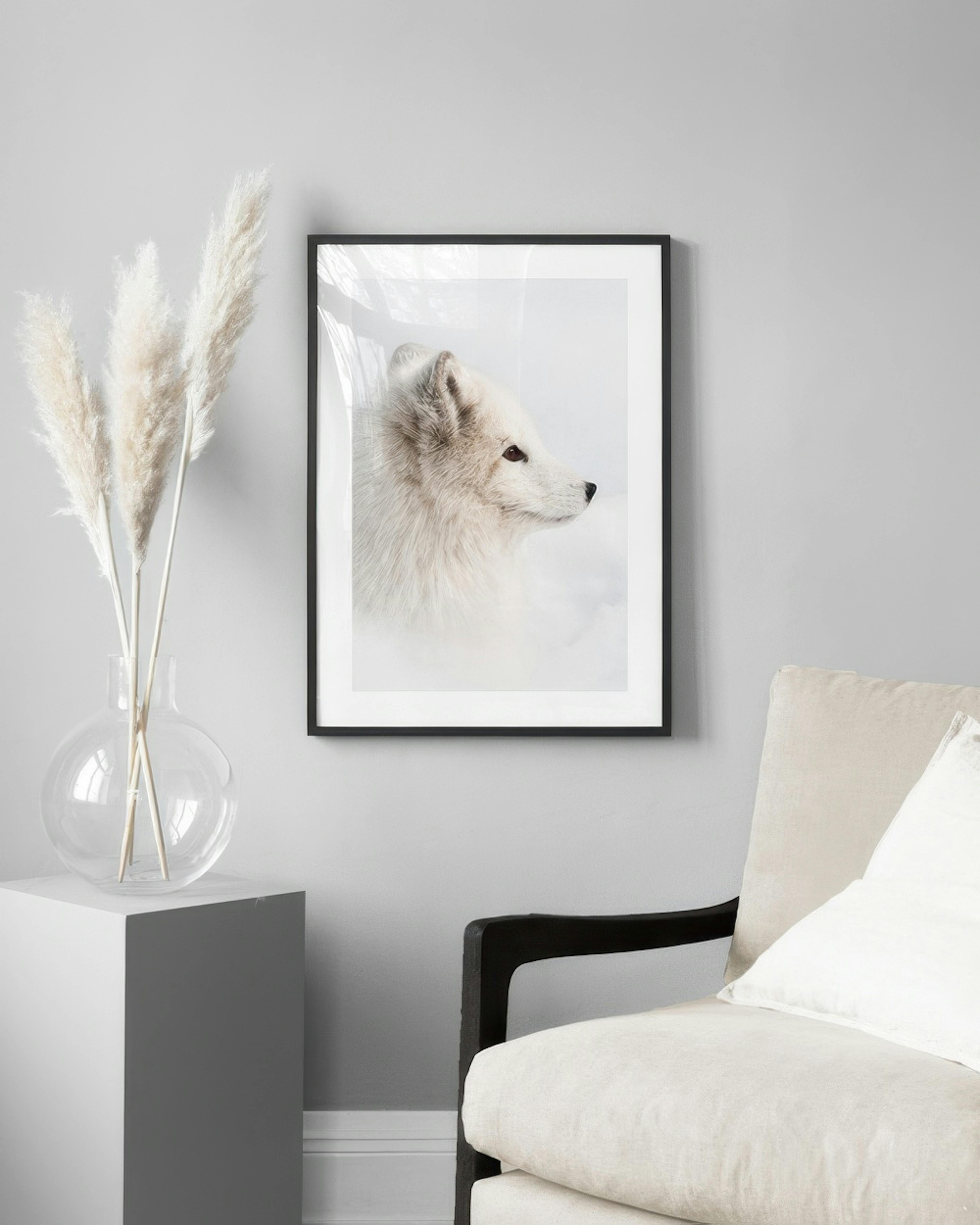 Arctic Fox Affiche