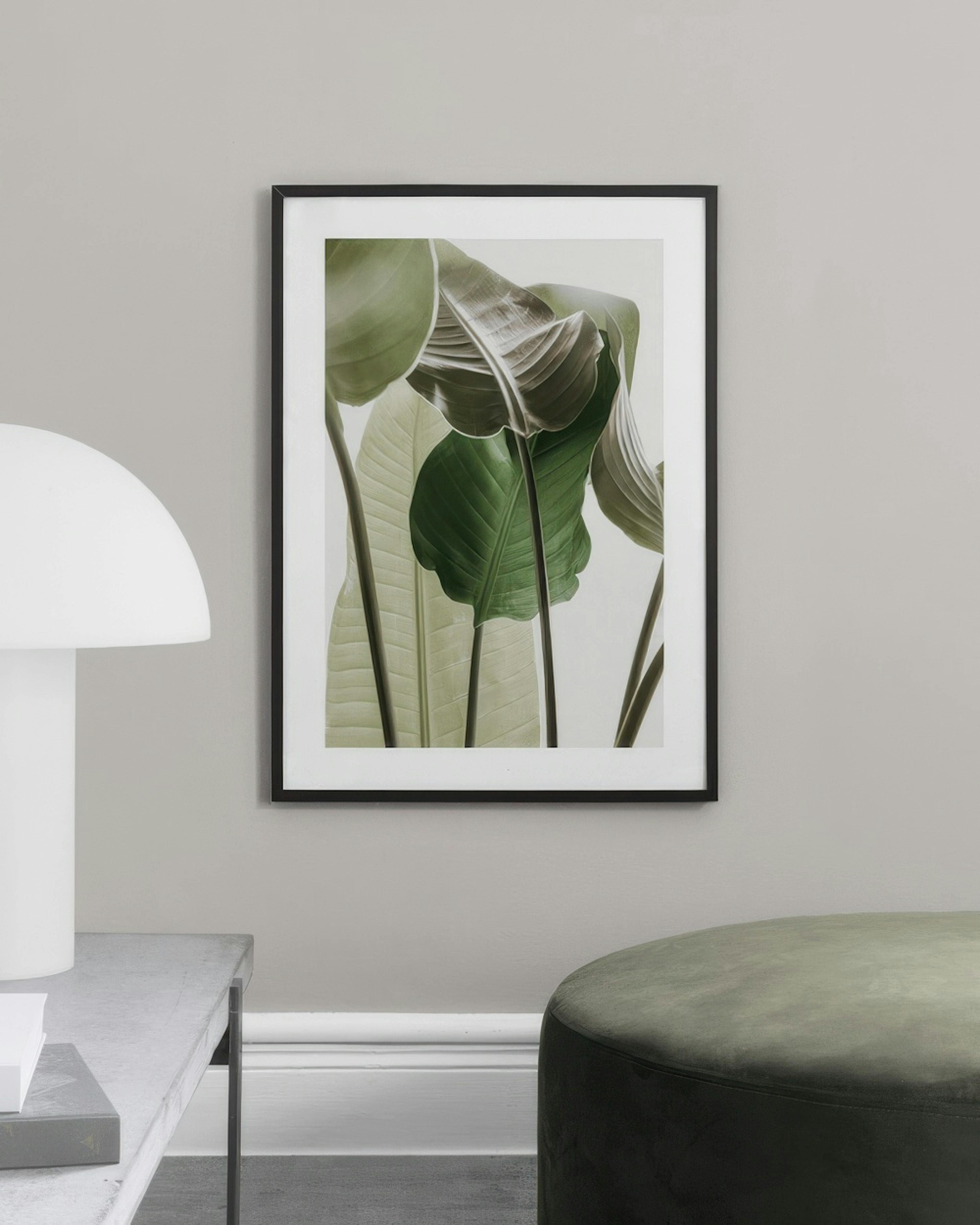 Strelitzia Plant No1 Print