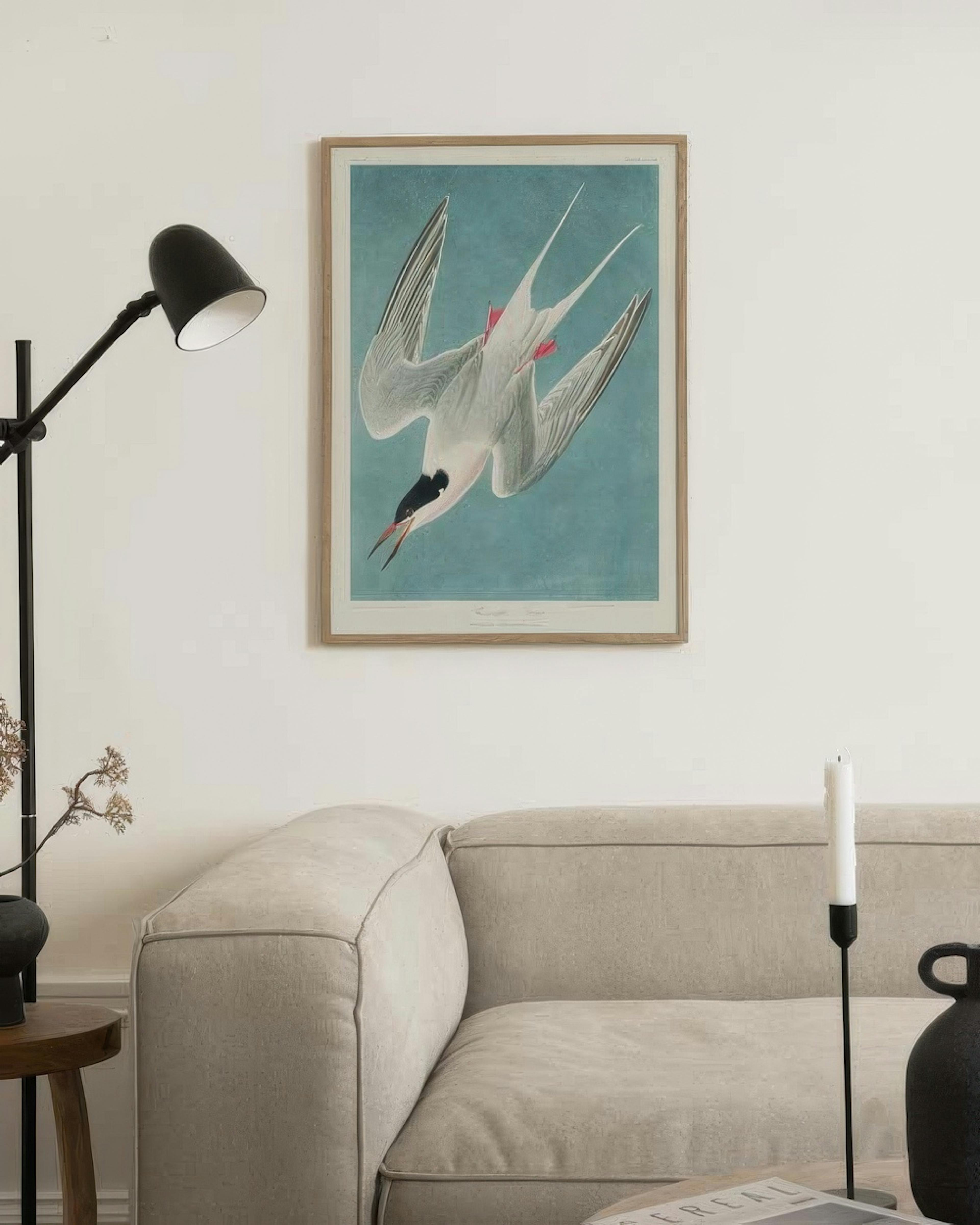 Audubon - Roseate Tern from Birds of America Print