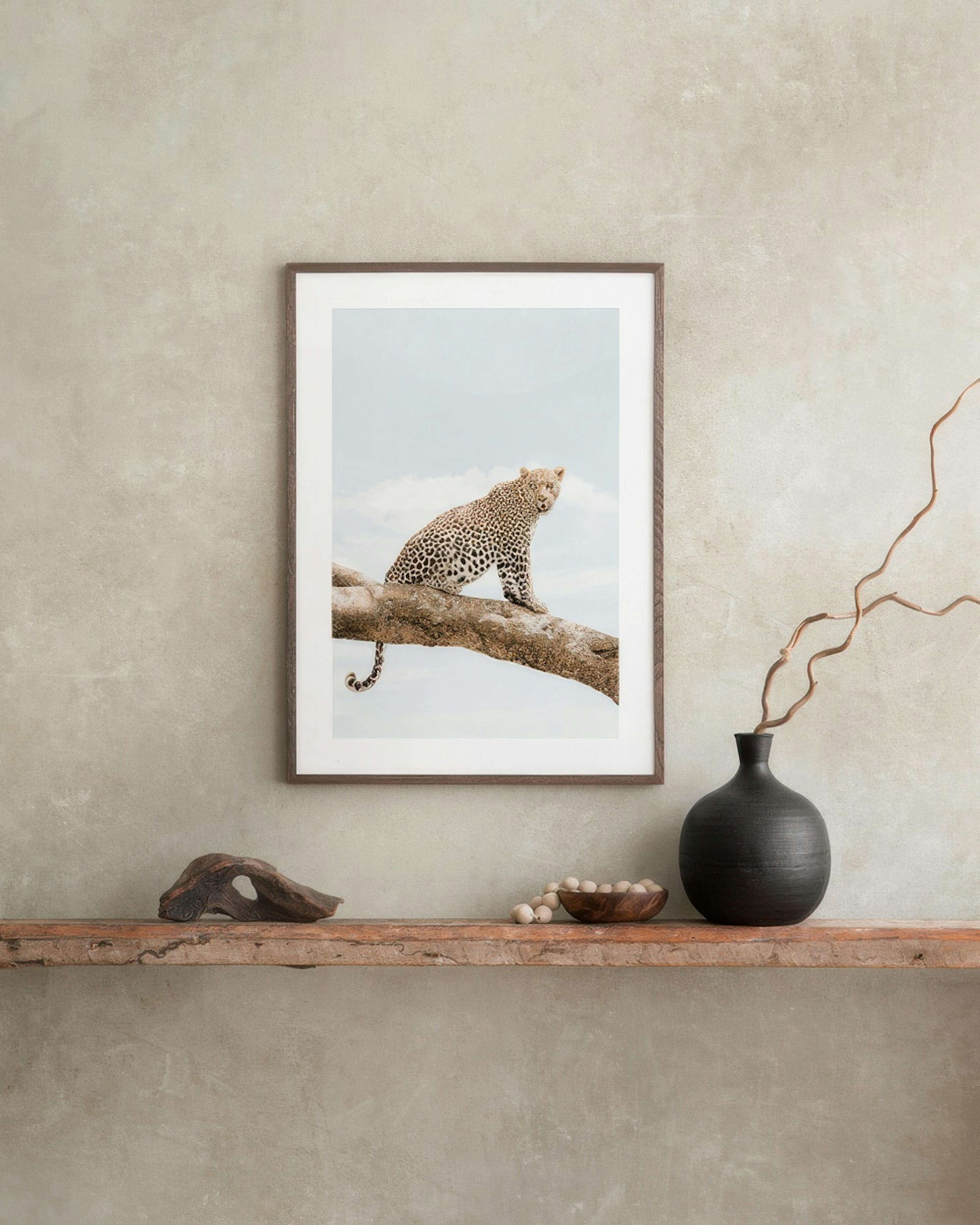 Resting Leopard​ Affiche