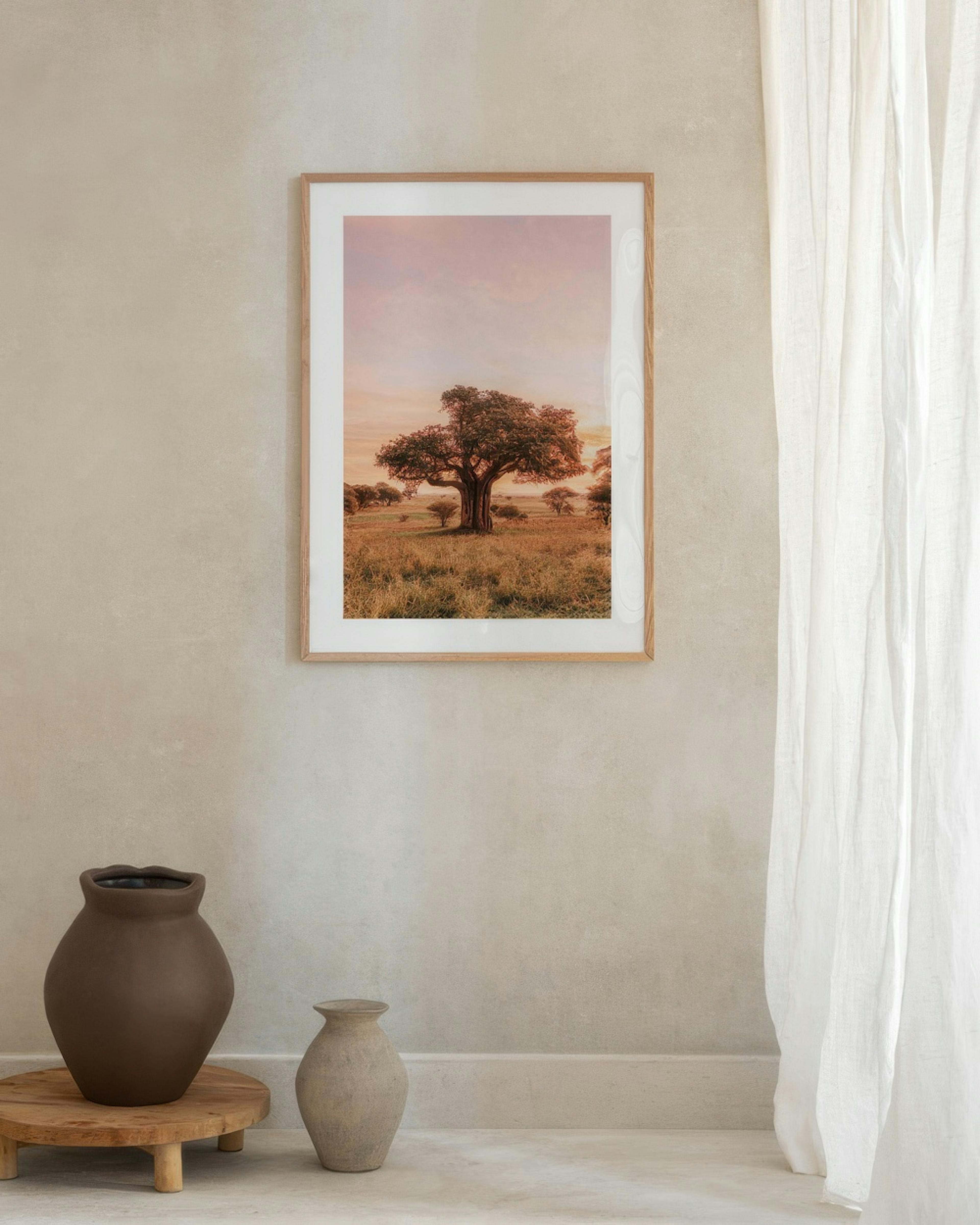 Baobab Tree in Sunrise Affiche