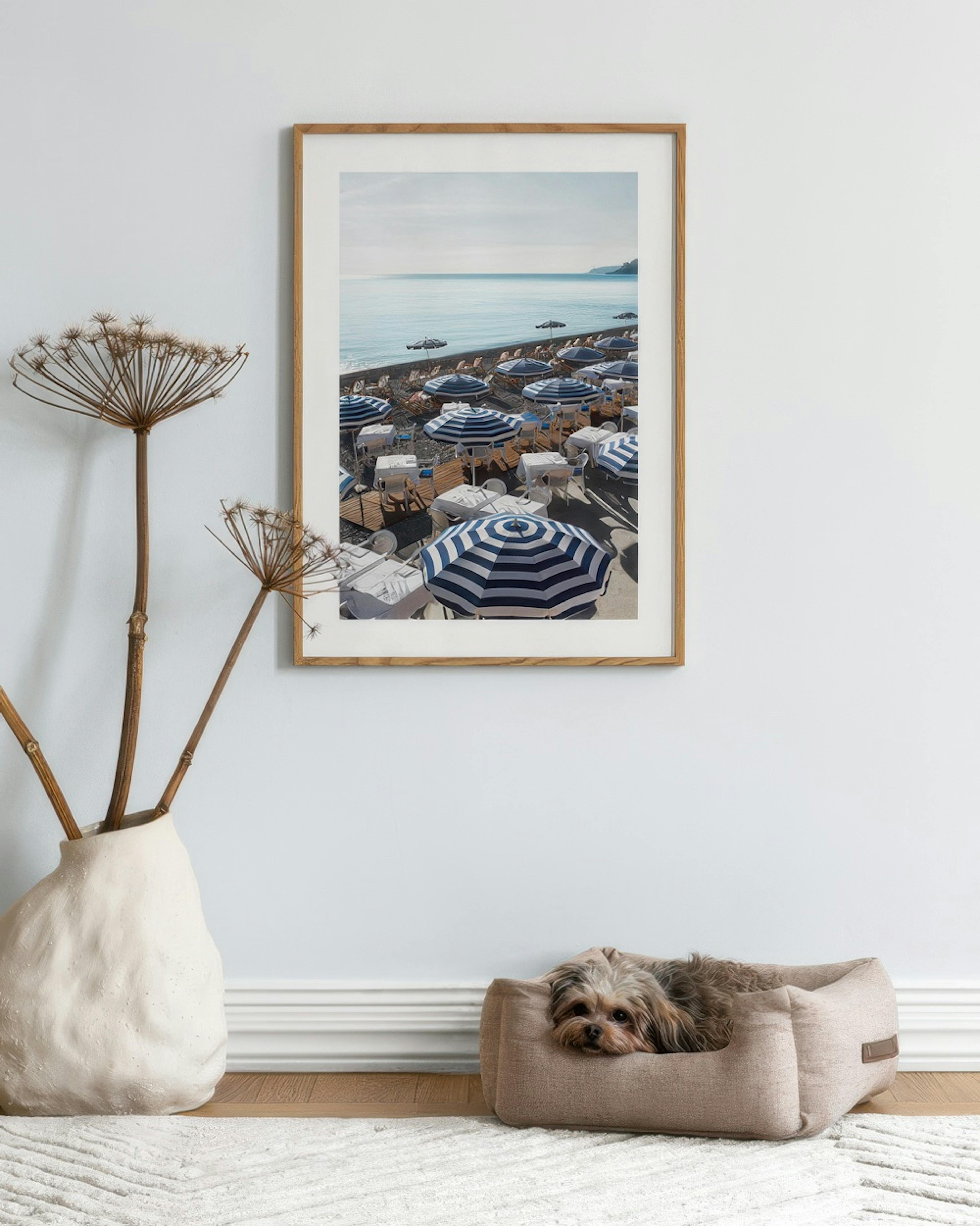 Striped Beach Umbrellas Poster