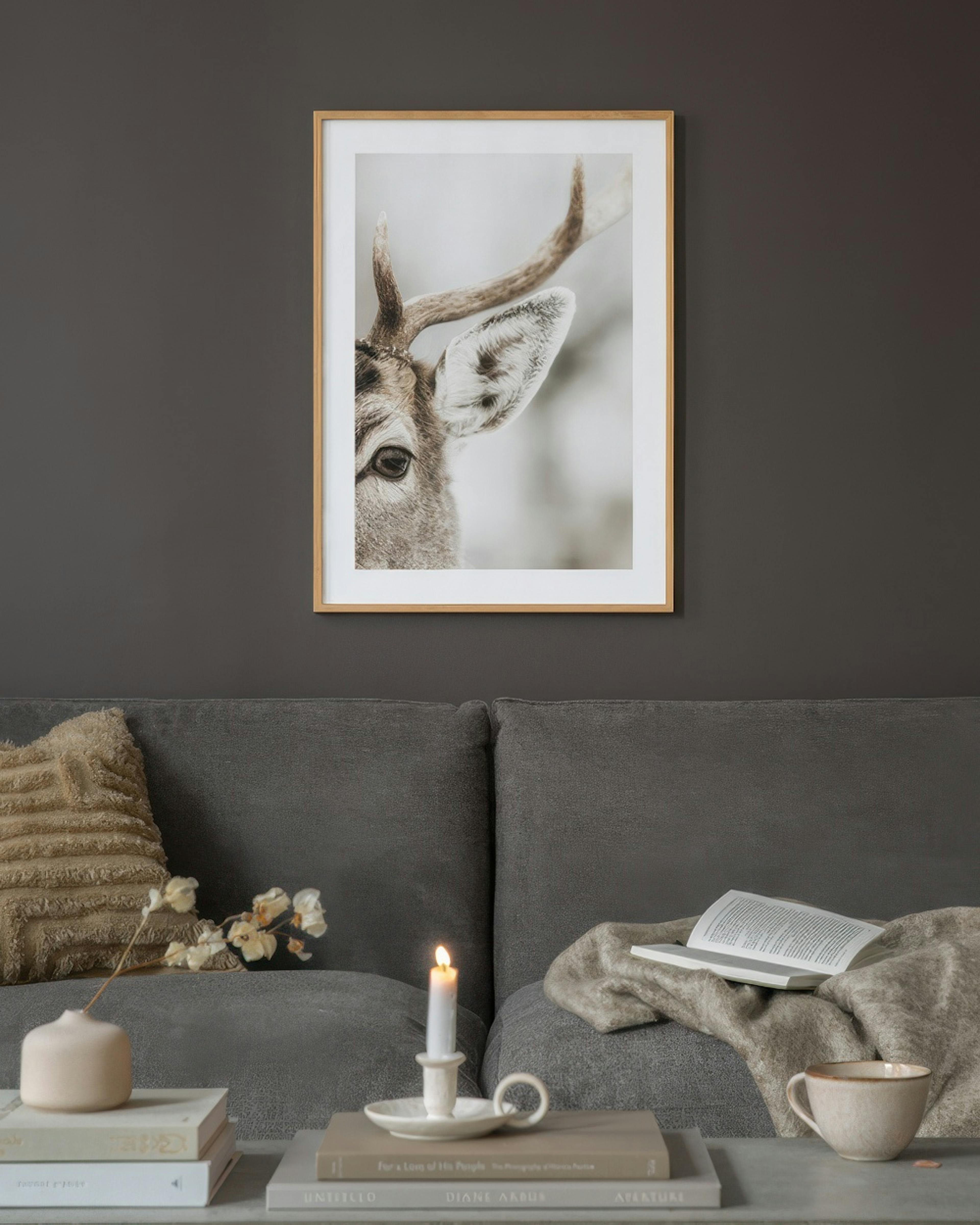 Reindeer Close Up Print