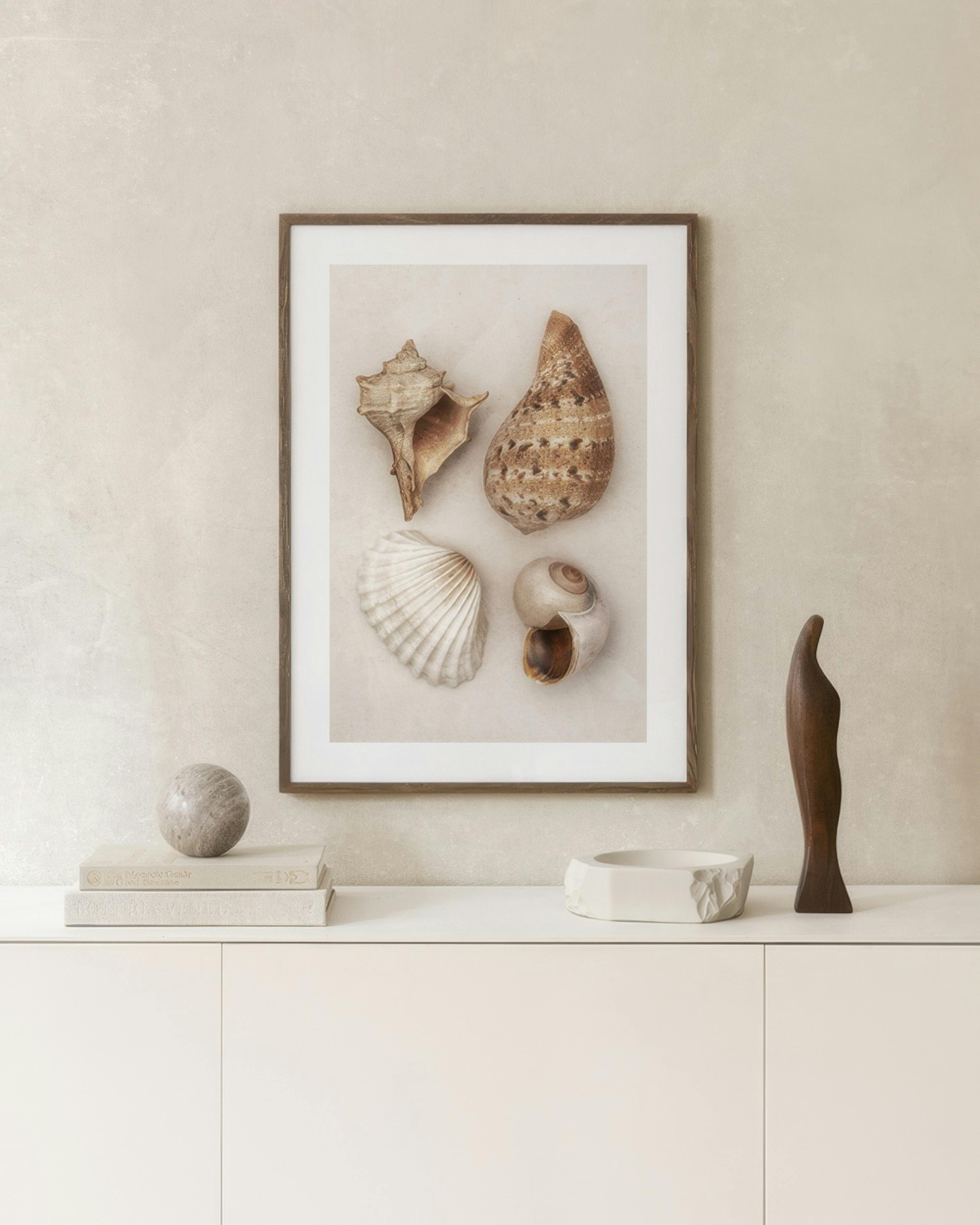 Soft Shells Print