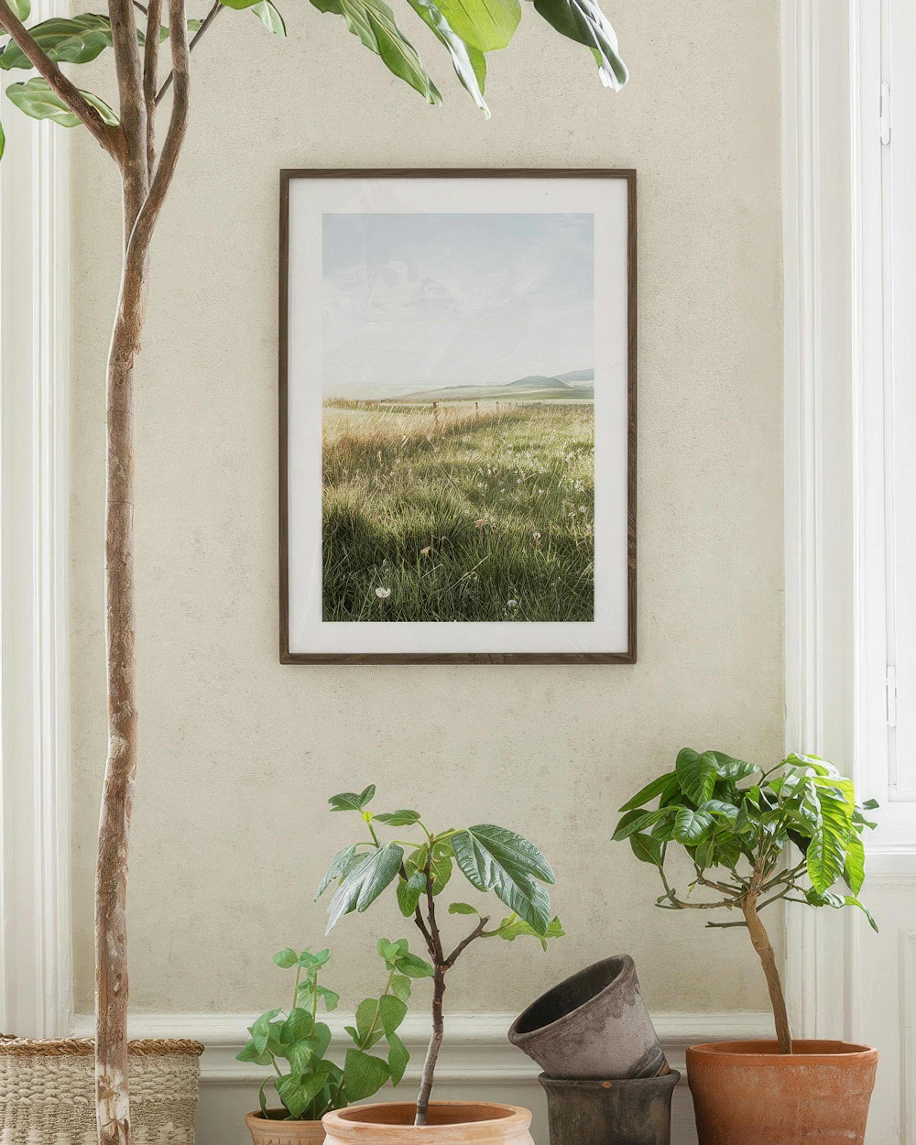 Field Sunset Print