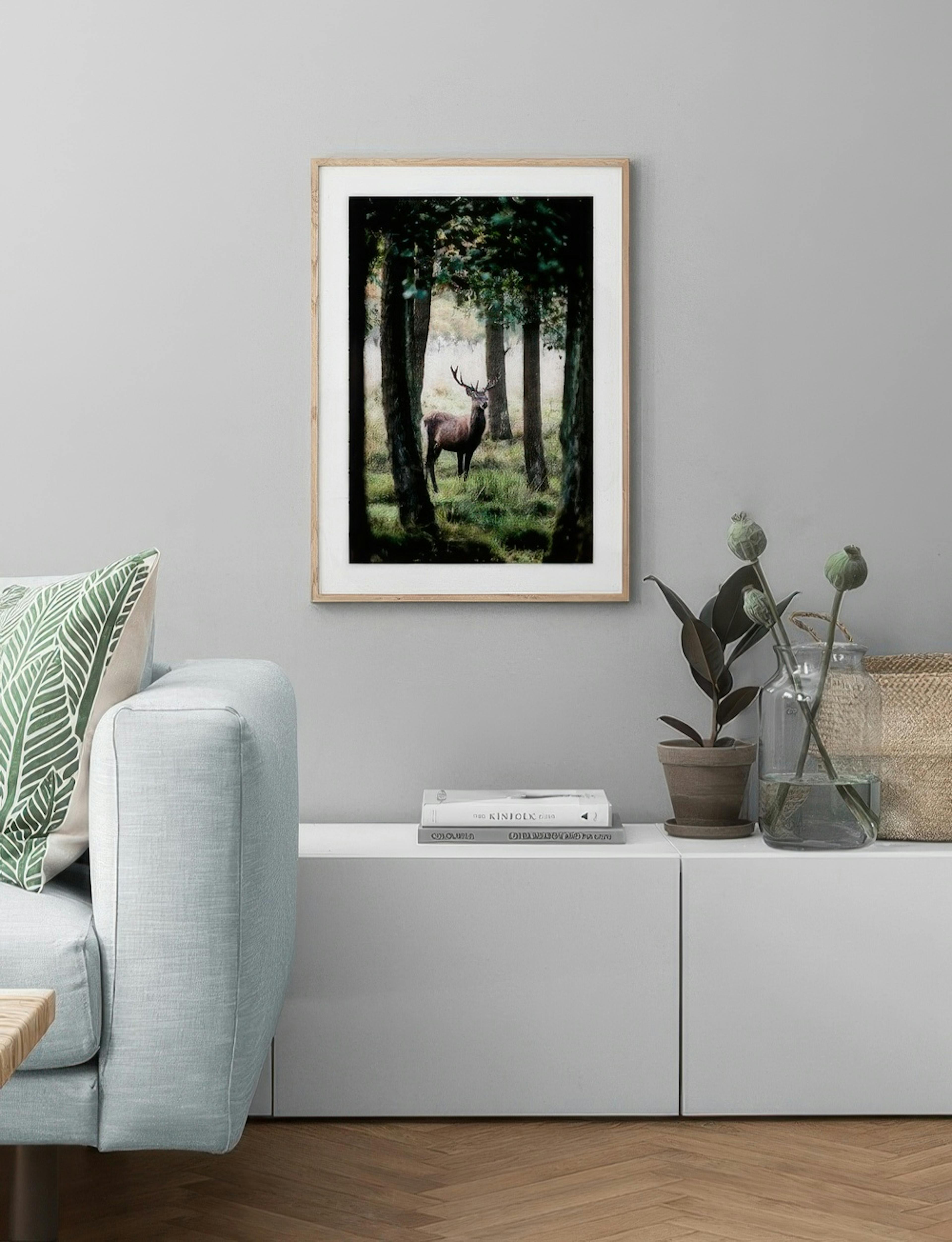 Stag In Forest Plakat