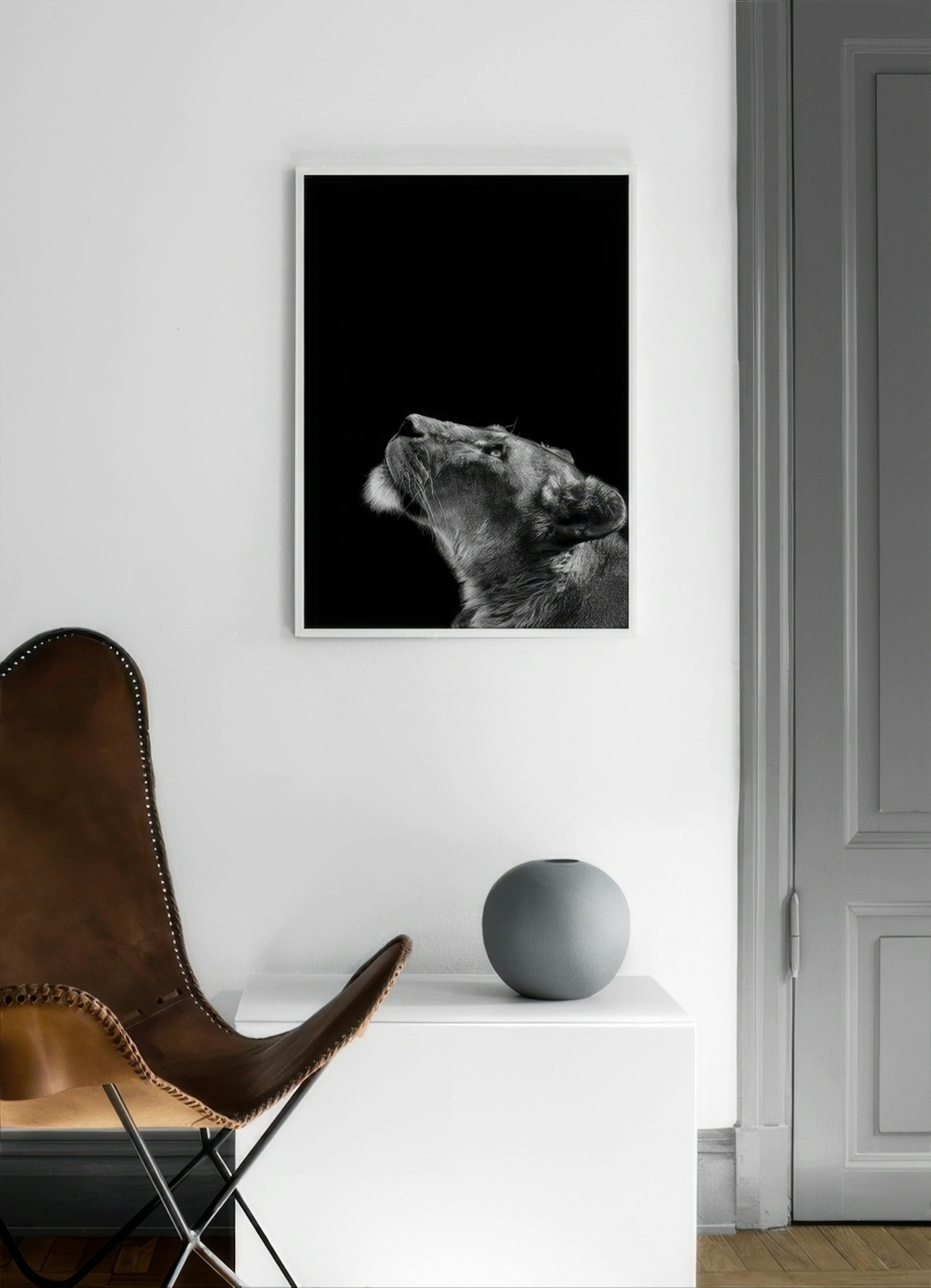 Lioness Print