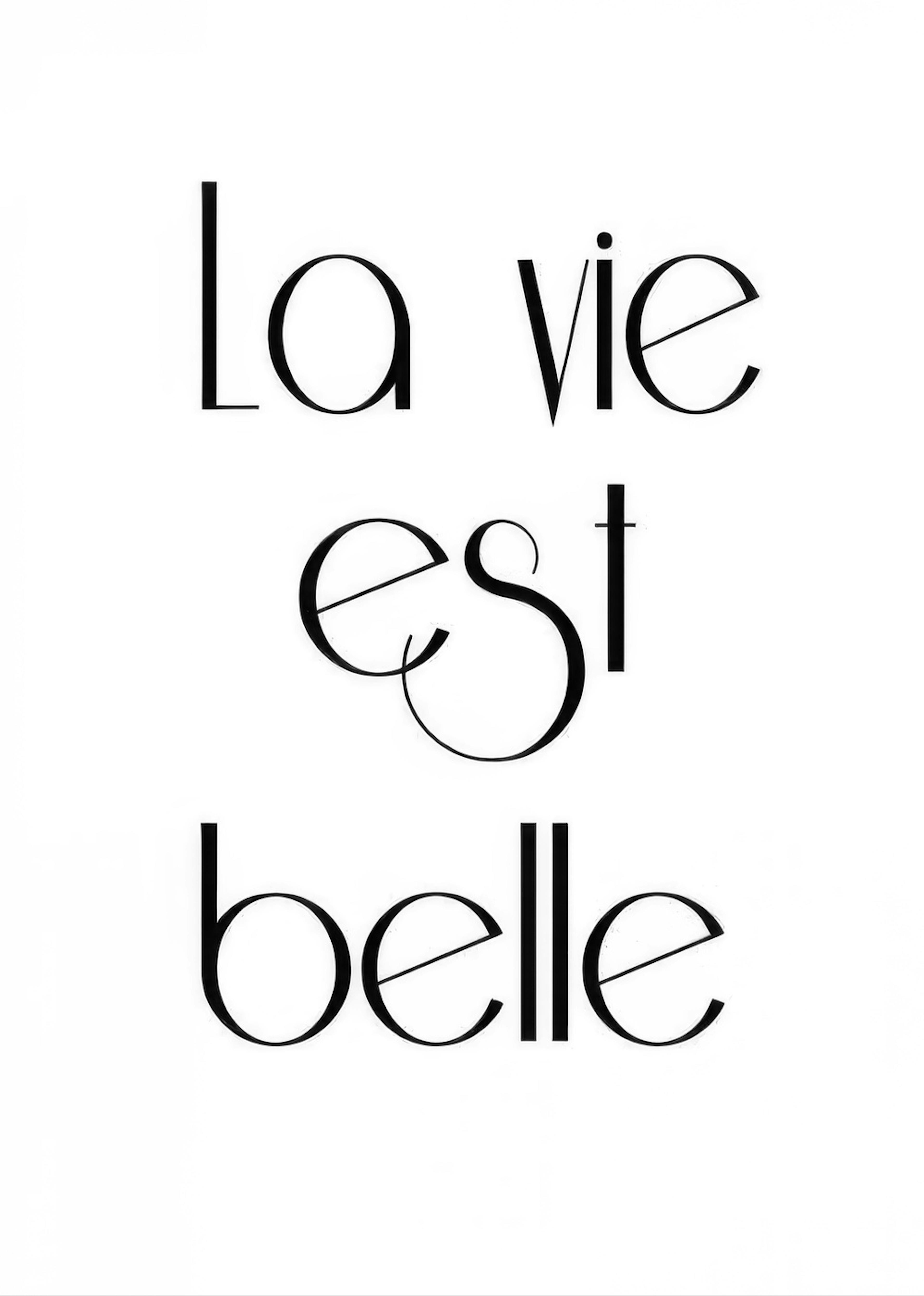 La Vie Est Belle, Affisch