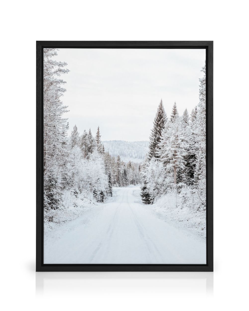 Fond d'écran : neige, hiver, noir et blanc, Gel, Photographie Fond d'écran : neige, hiver, noir et blanc, Gel, Photographie