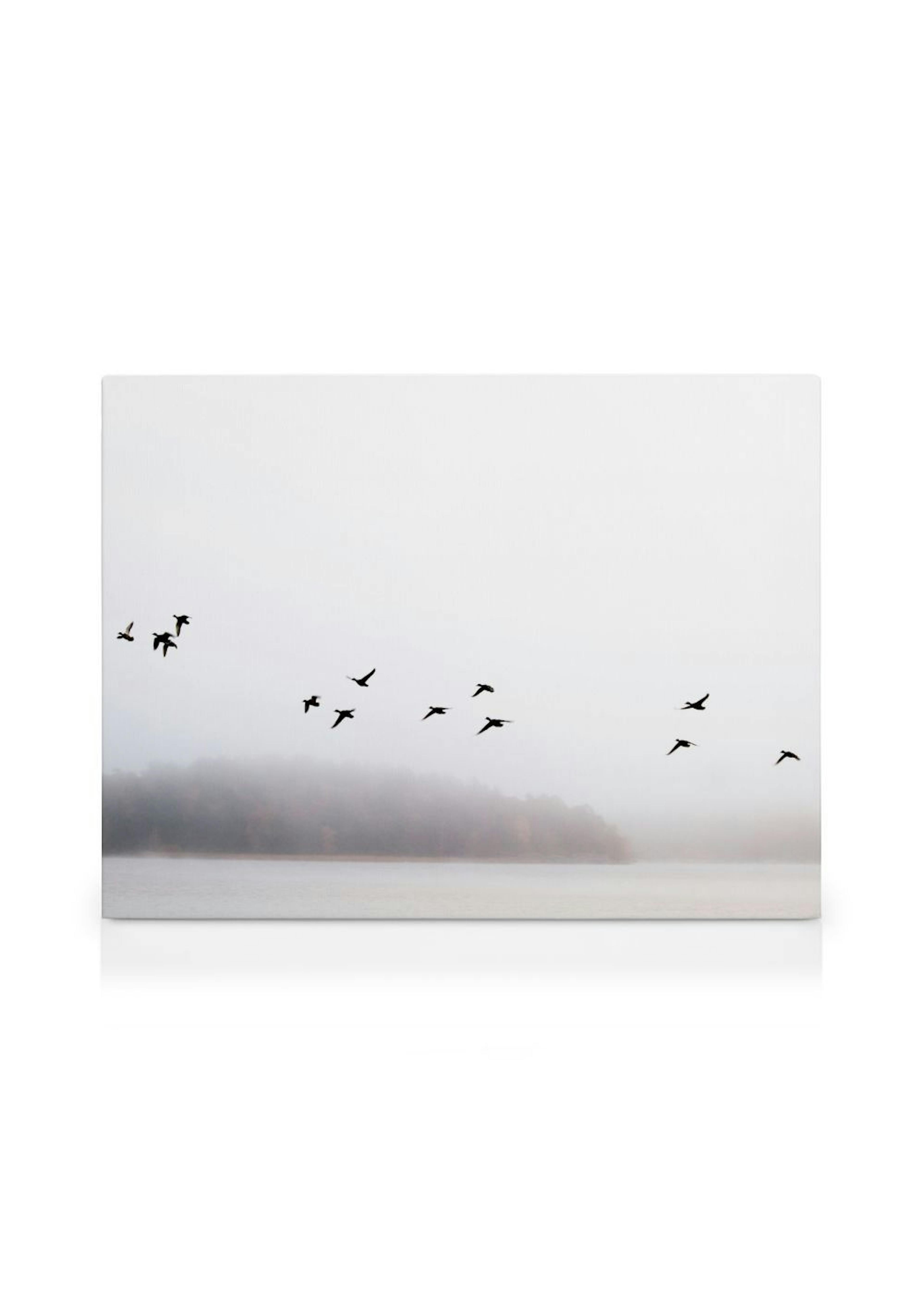 Birds Over Lake Kanvaasi