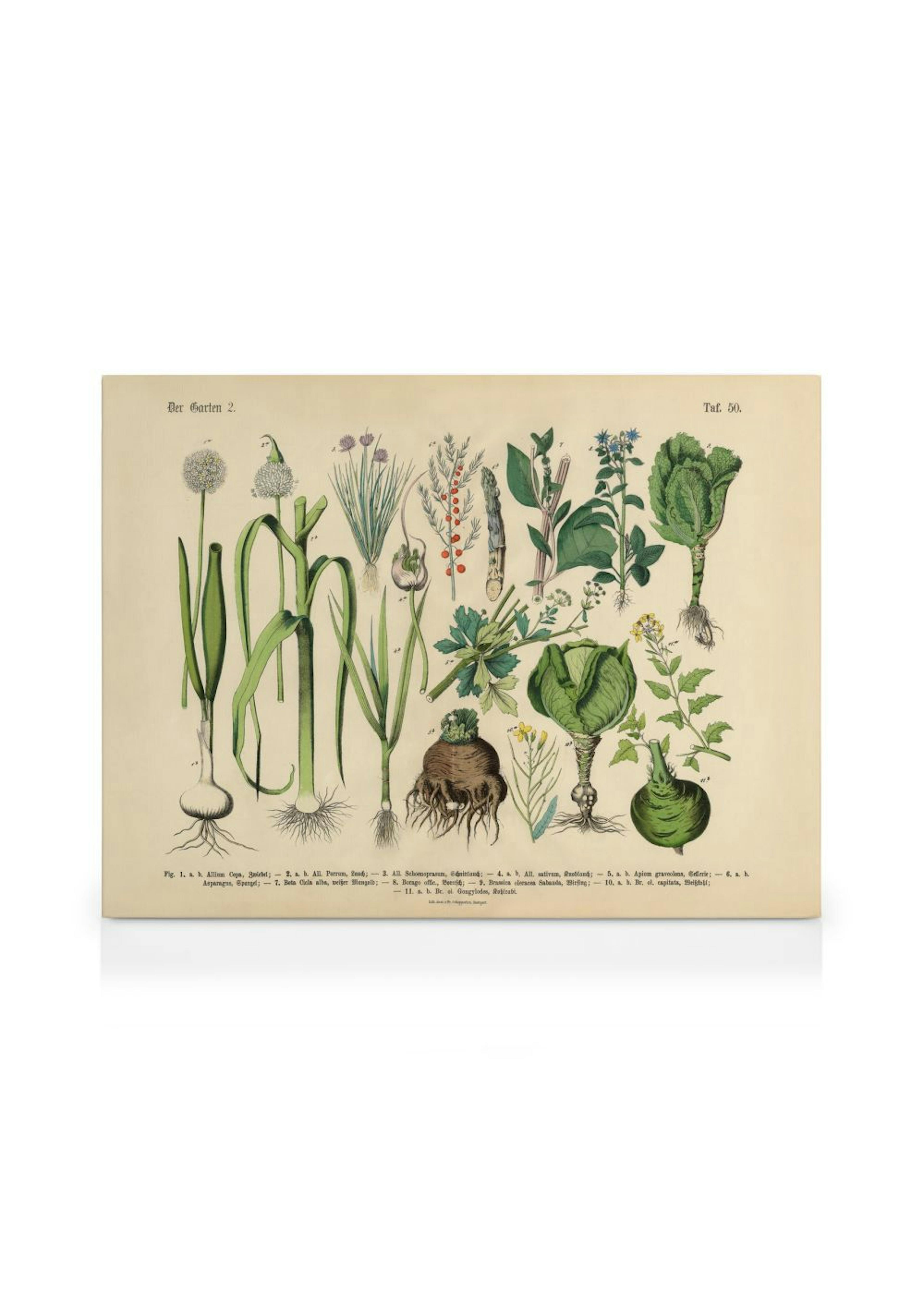 Product image: 1